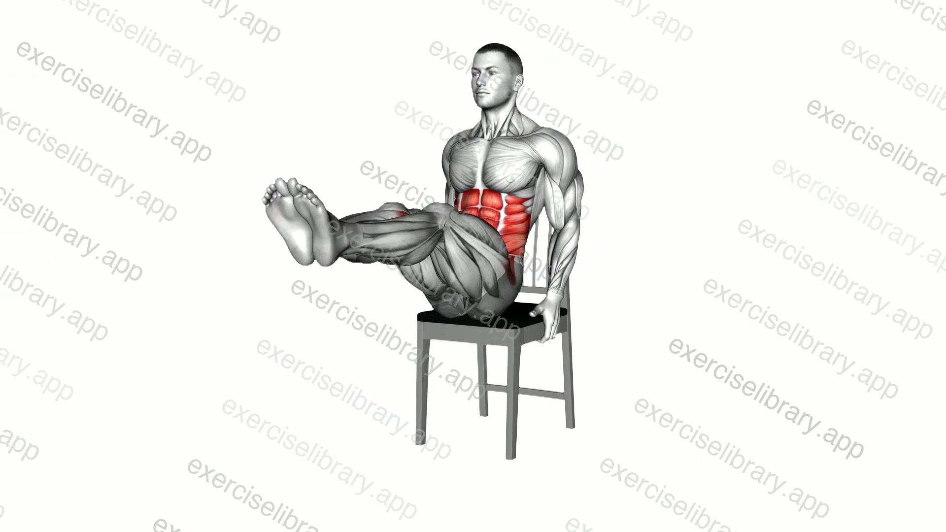 Seated Leg Raises on a Chair demonstration