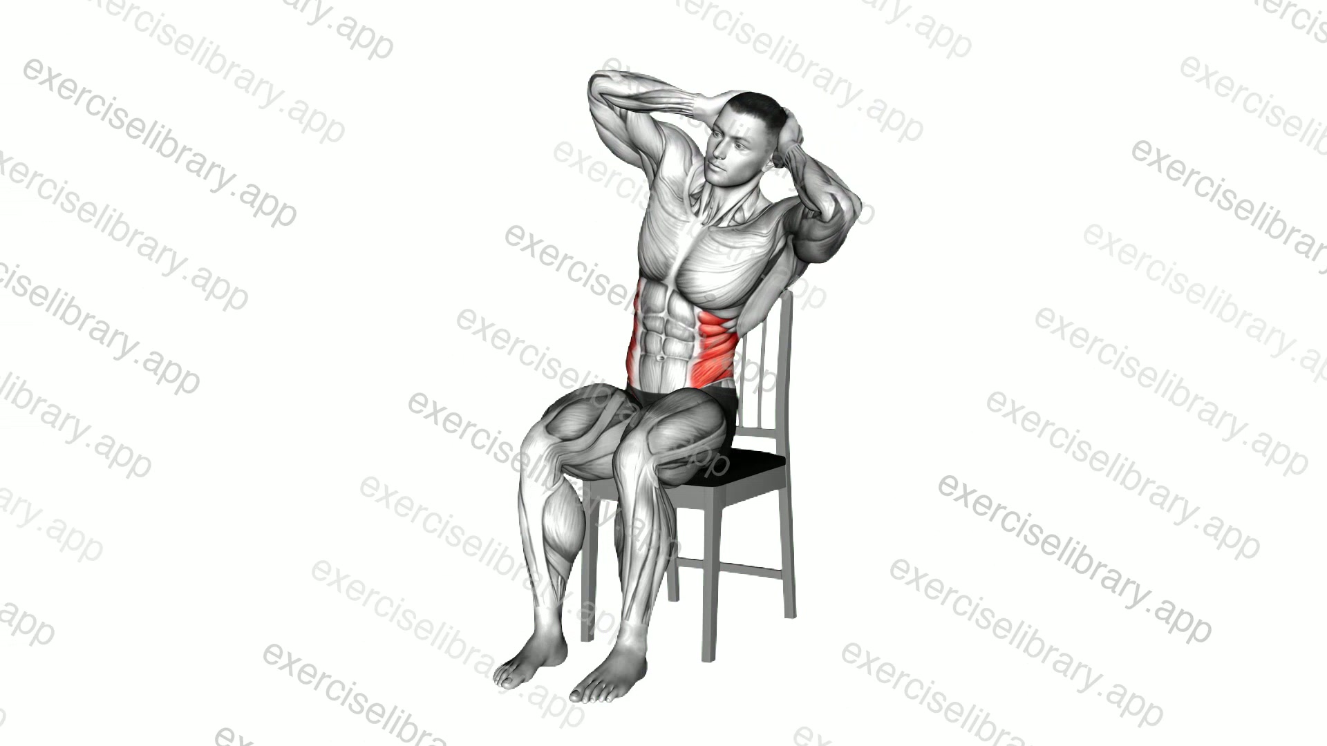 Seated Side Bend on a Chair demonstration