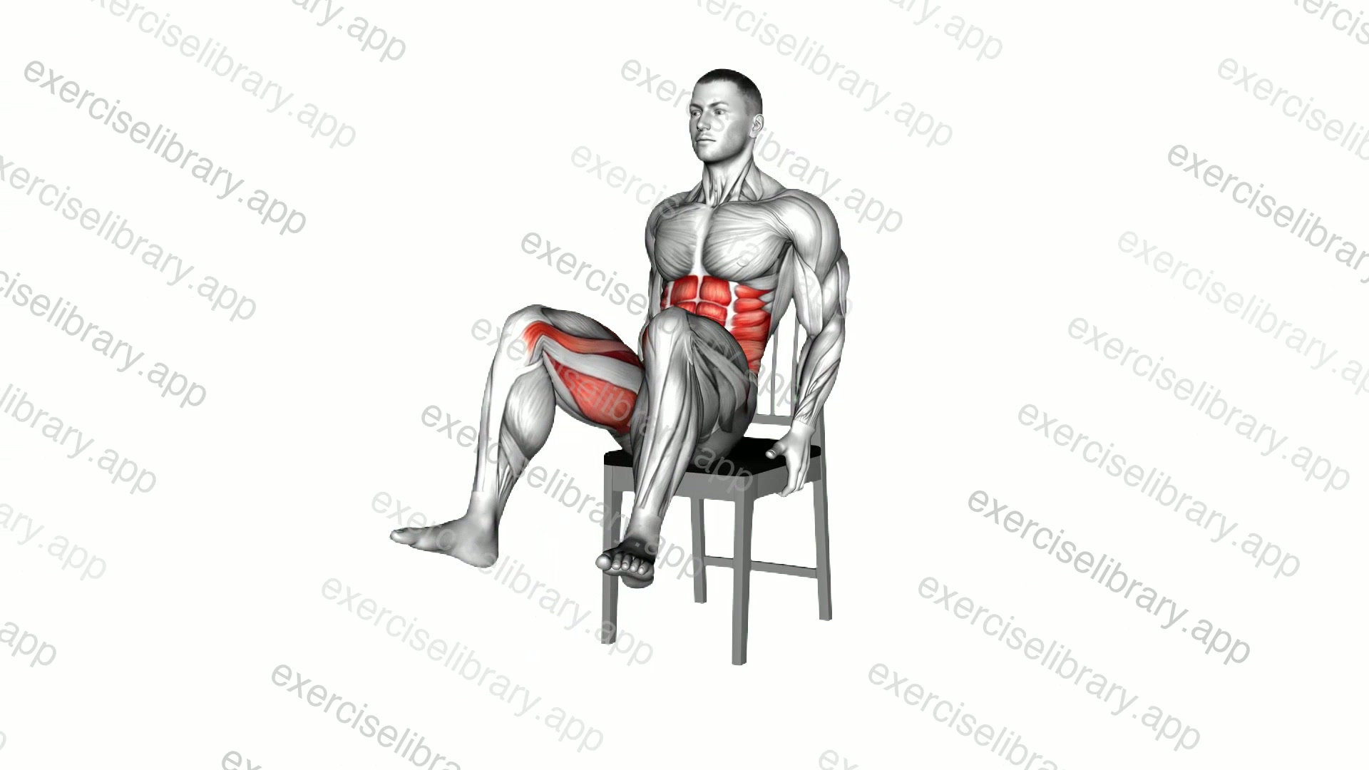 Seated Open Knee Leg Raise on a Chair demonstration