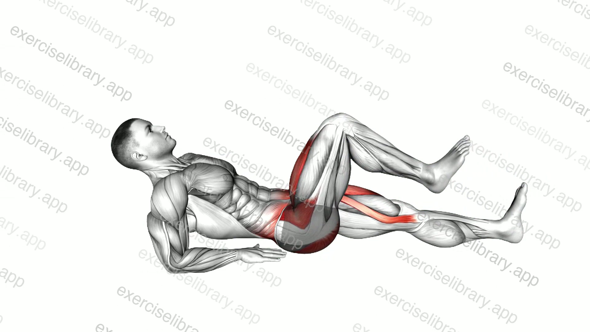 45 degrees Lean Back Alternate Knee Raise demonstration