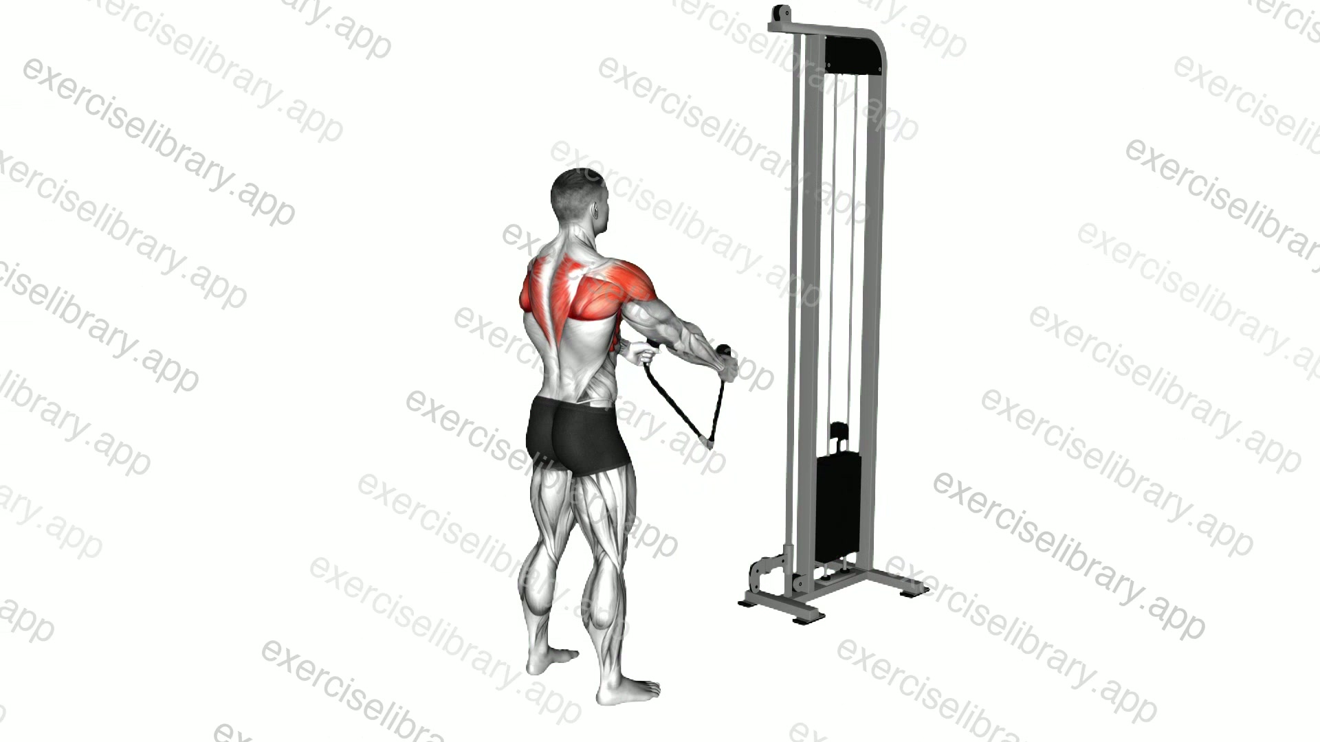 Cable Standing Y raises demonstration
