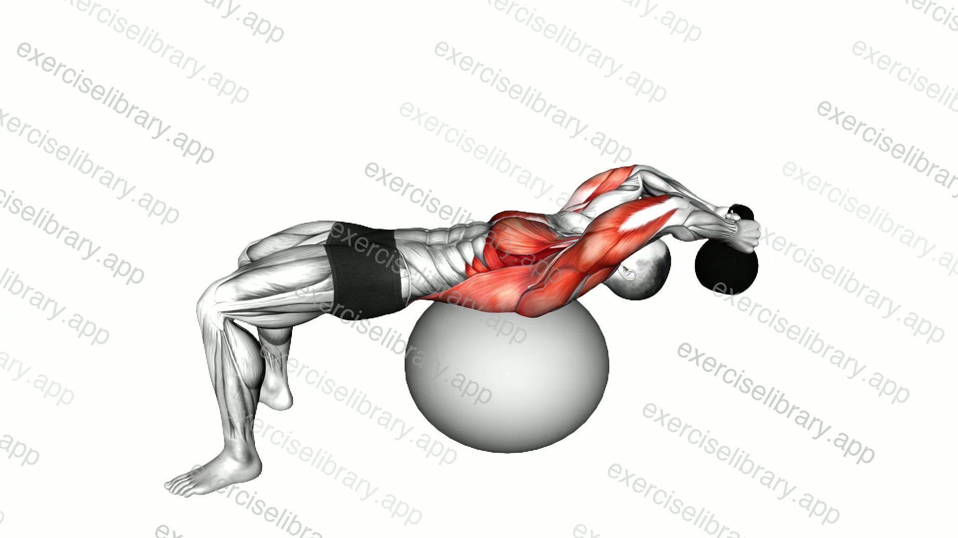 Kettlebell Pullover on Stability Ball demonstration