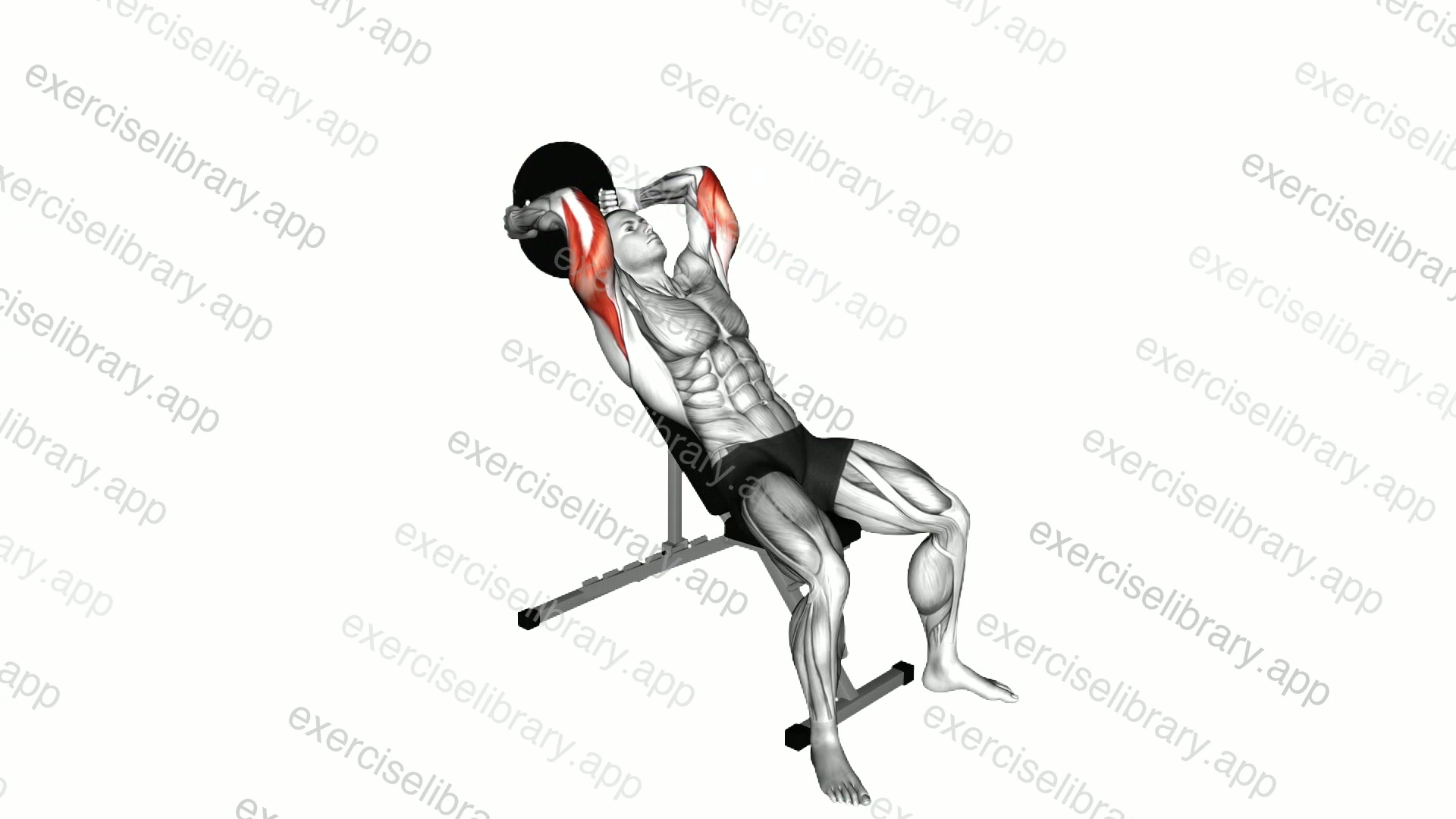 Weighted Plate Incline Triceps Extension demonstration