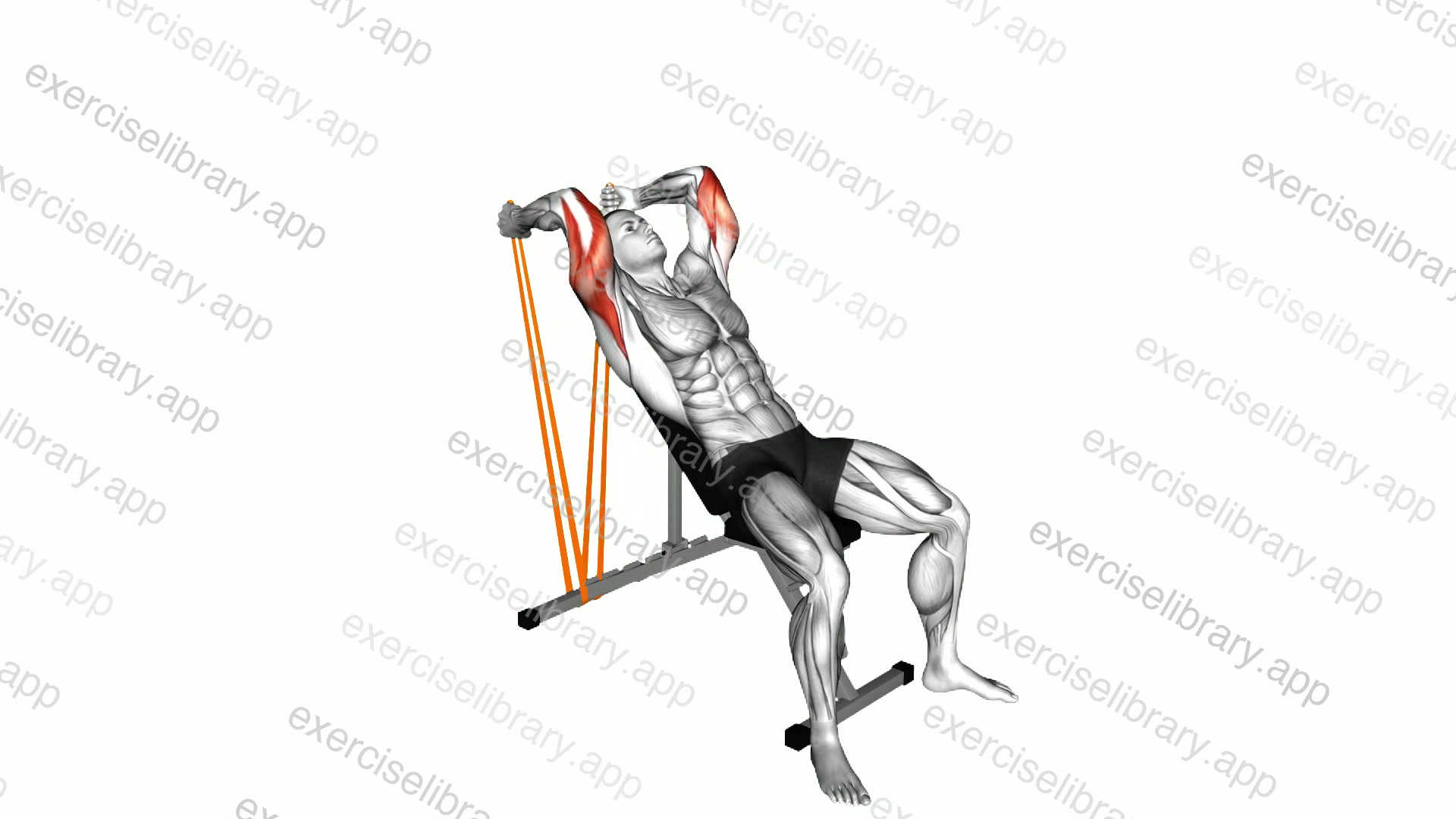 Resistance Band Incline Triceps Extension demonstration