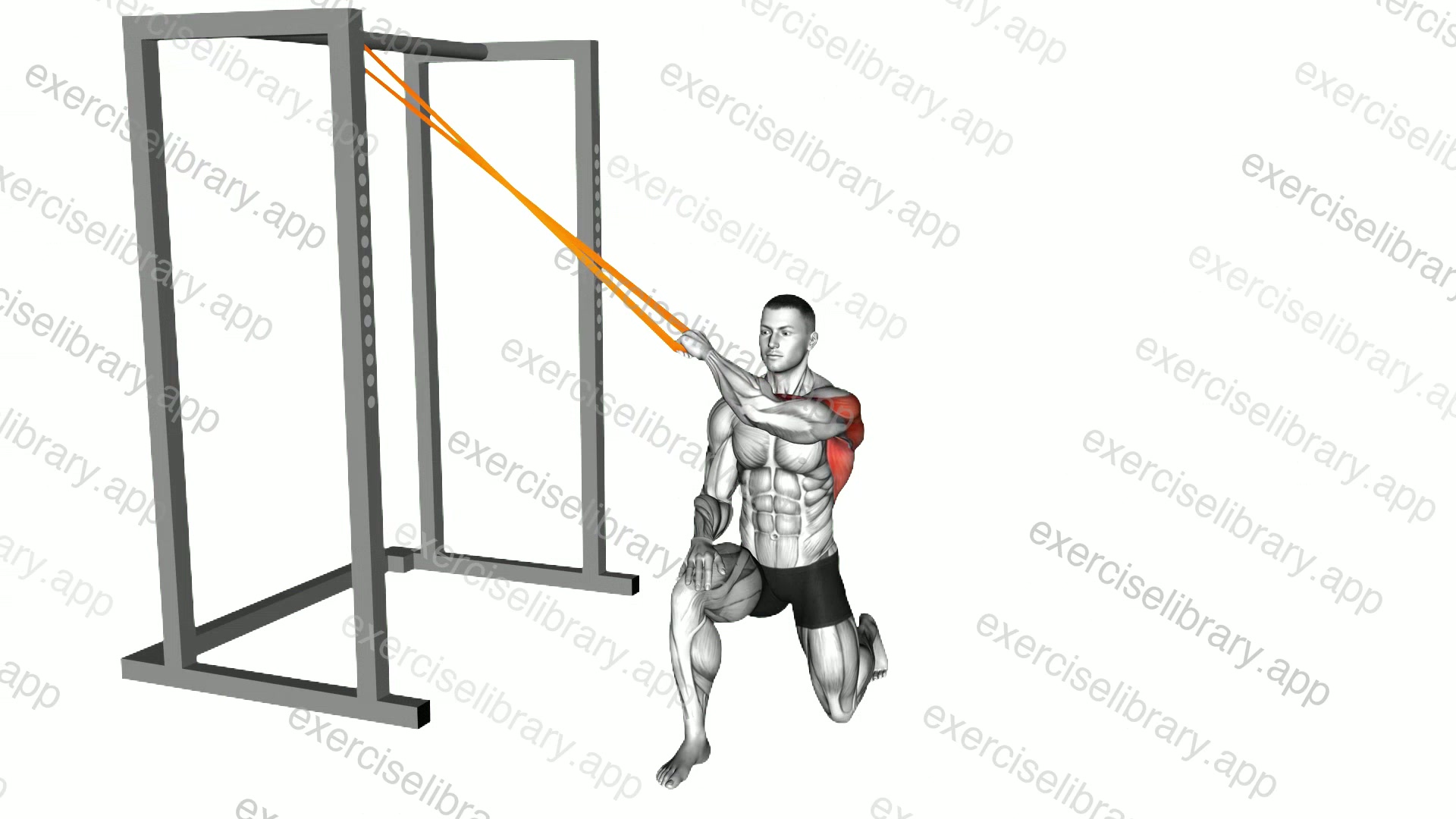 Resistance Band Kneeling Cross Body Lat Pulldown demonstration