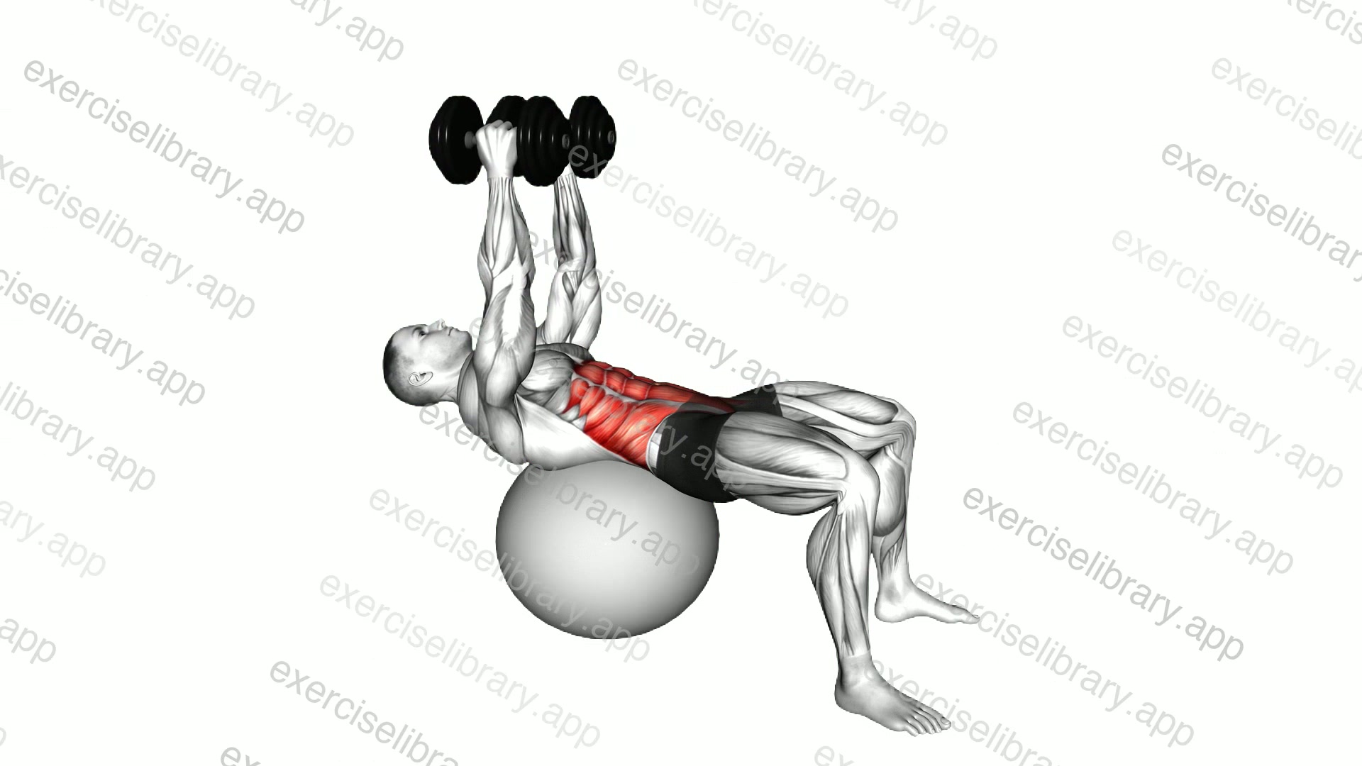 Dumbbell Overhead Crunch demonstration