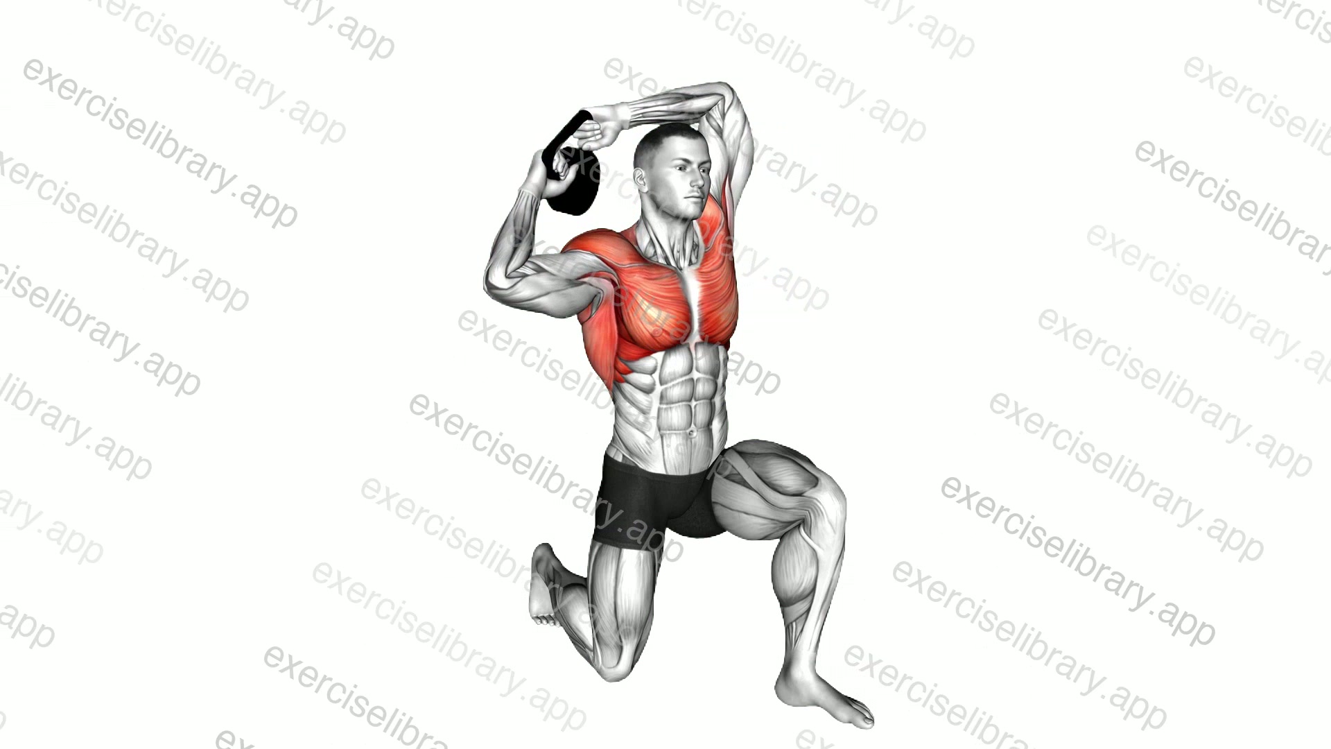 Kettlebell Half Kneeling Halo demonstration