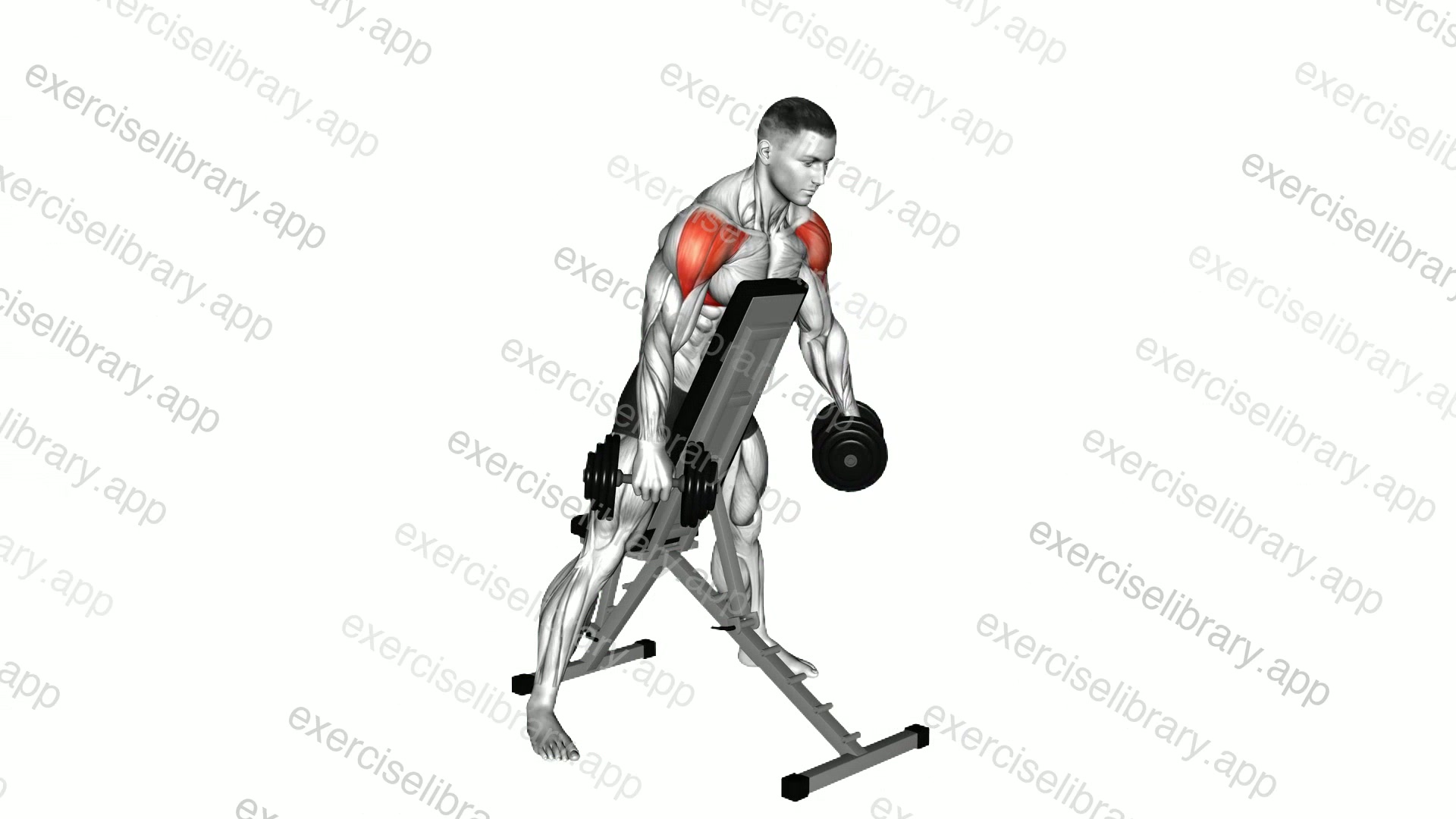 Dumbbell Standing Prone Lateral Raise demonstration