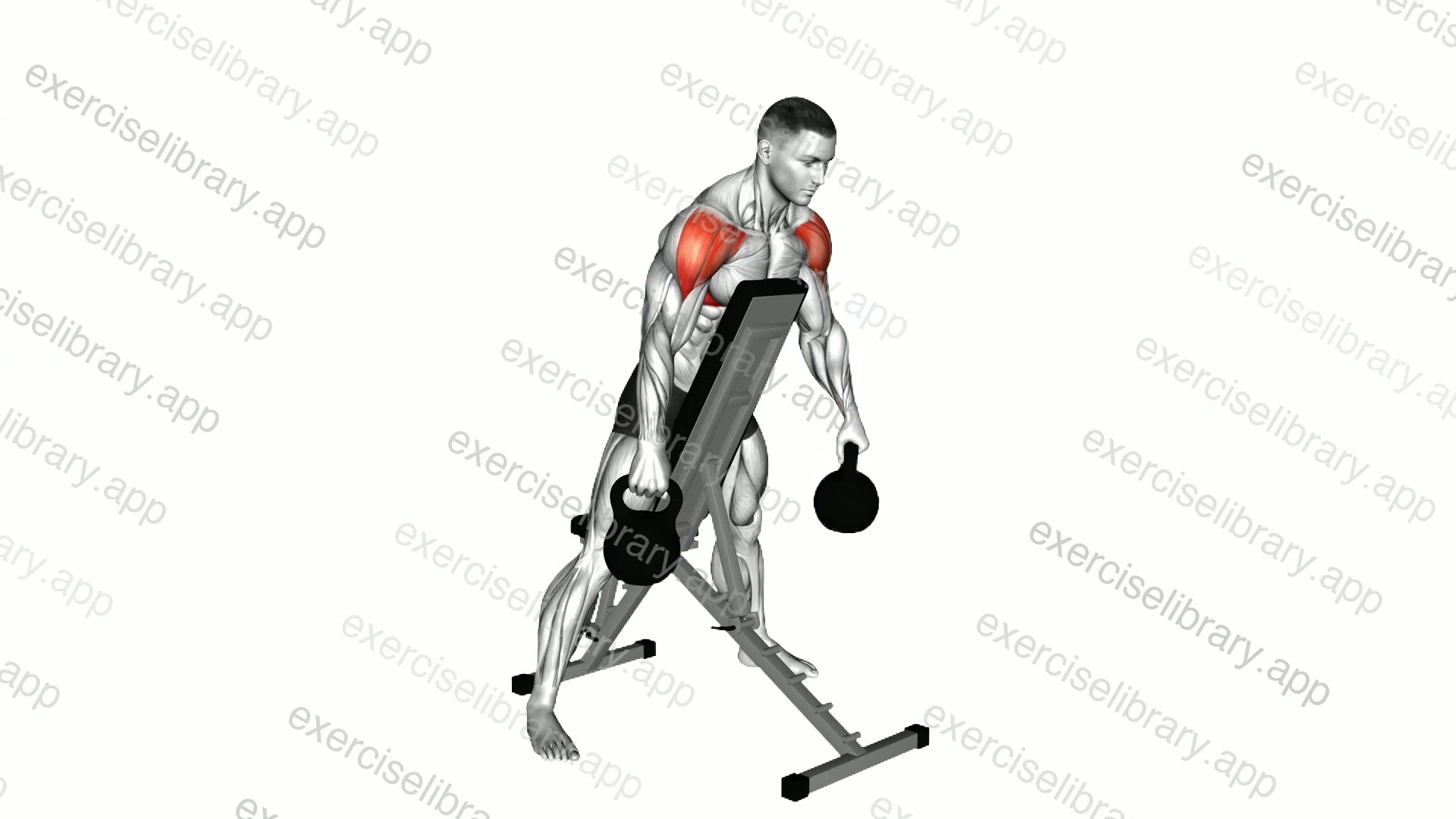 Kettlebell Standing Prone Lateral Raise demonstration