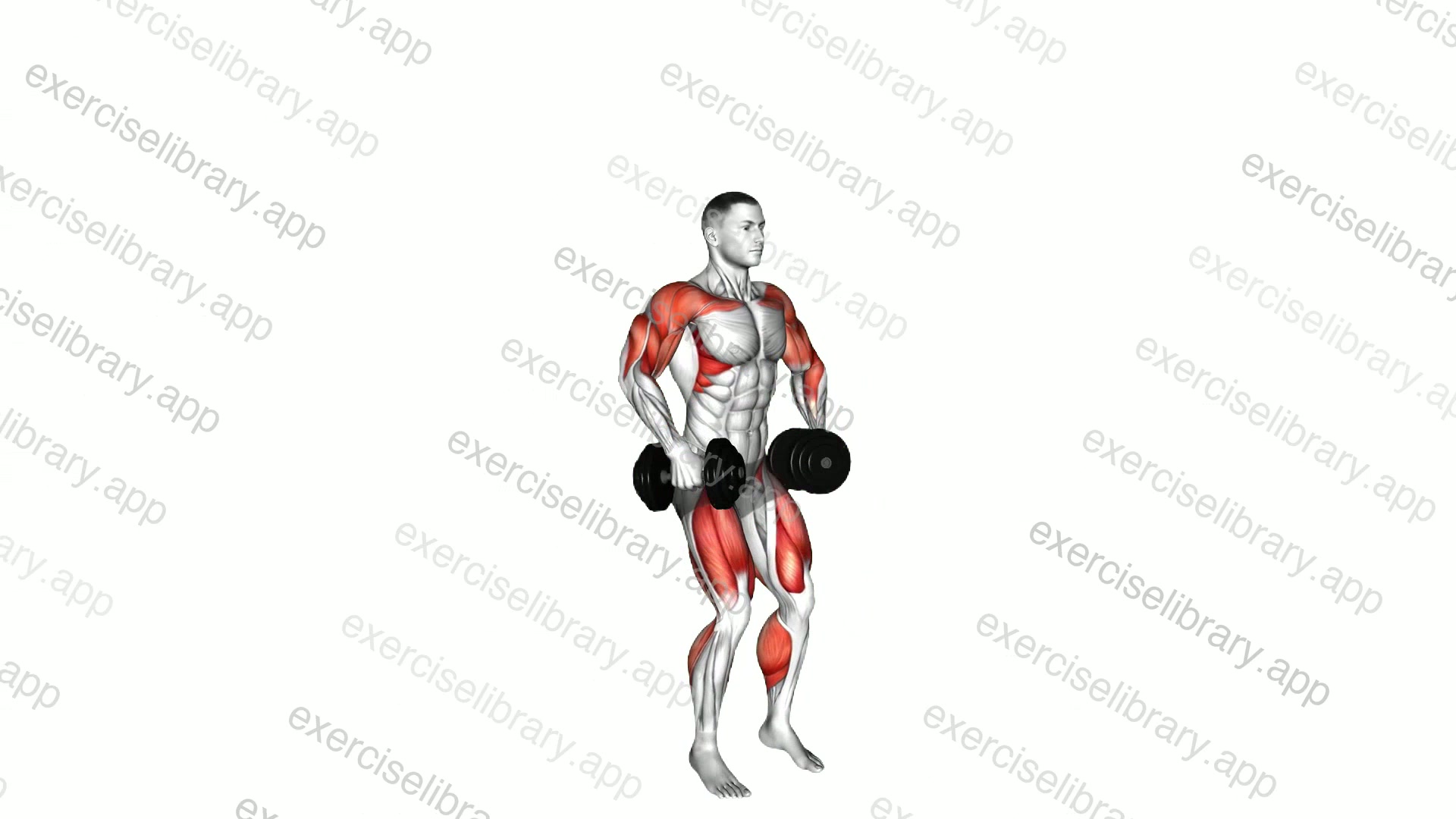 Dumbbell Hang Clean and Press demonstration