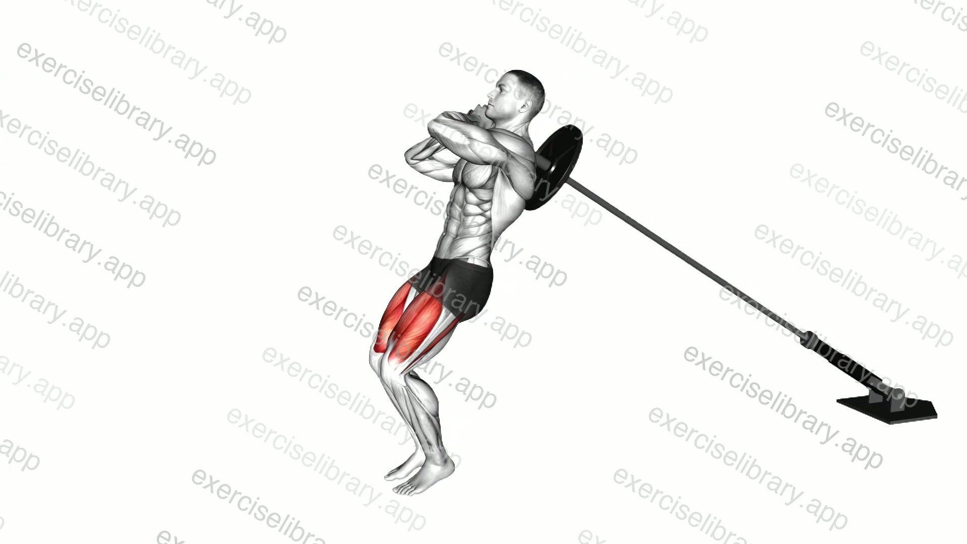 Landmine Sissy Squat demonstration