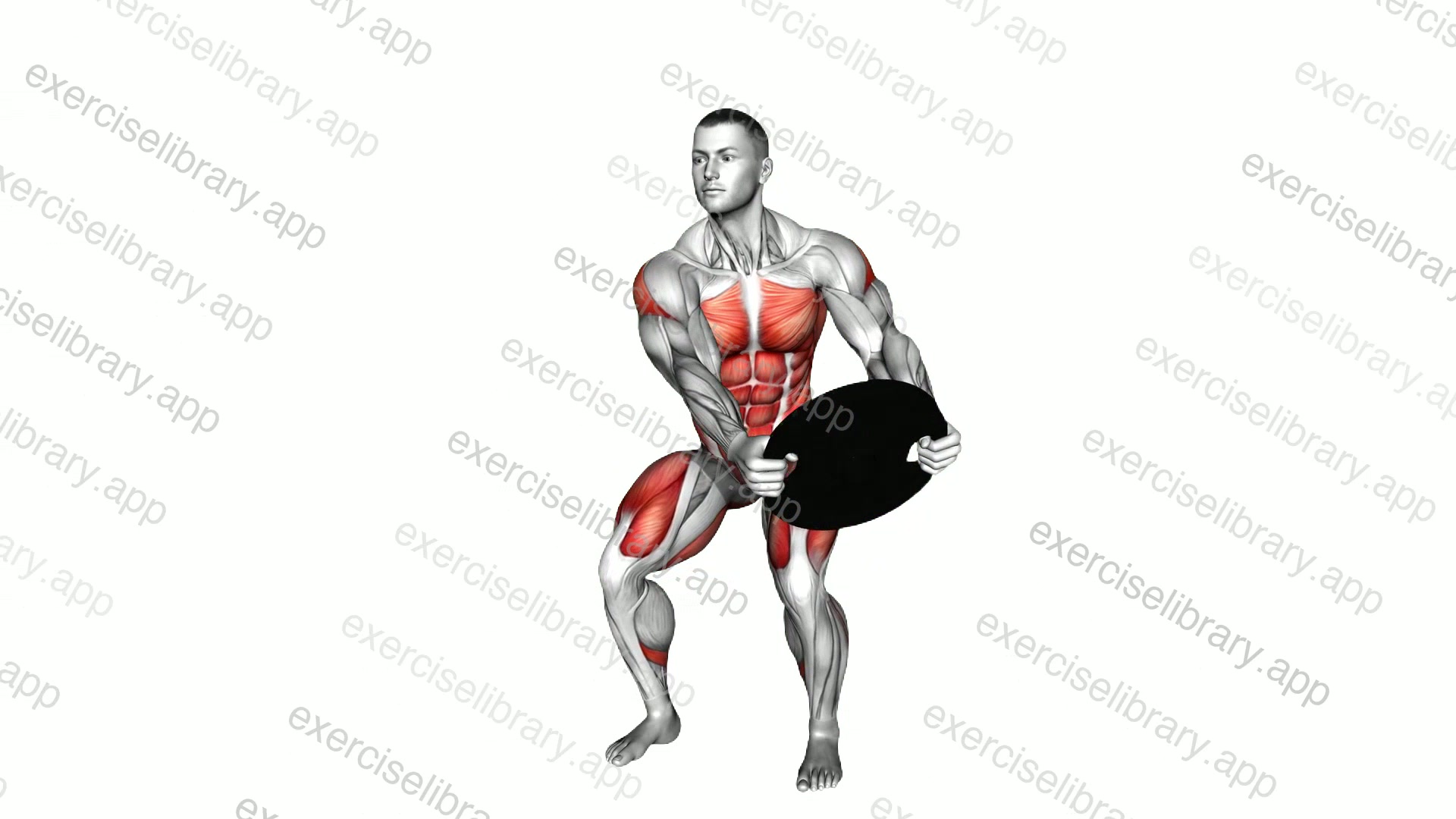 Weighted Plate Side Twist from Squat demonstration