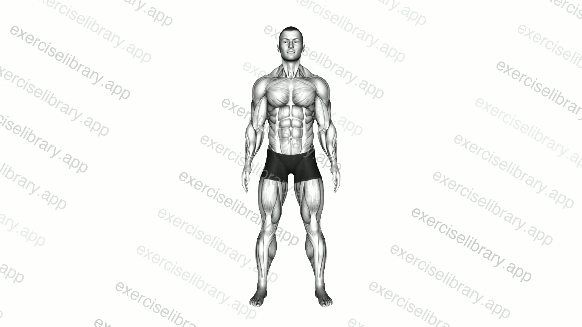 Standing Rest Pose demonstration