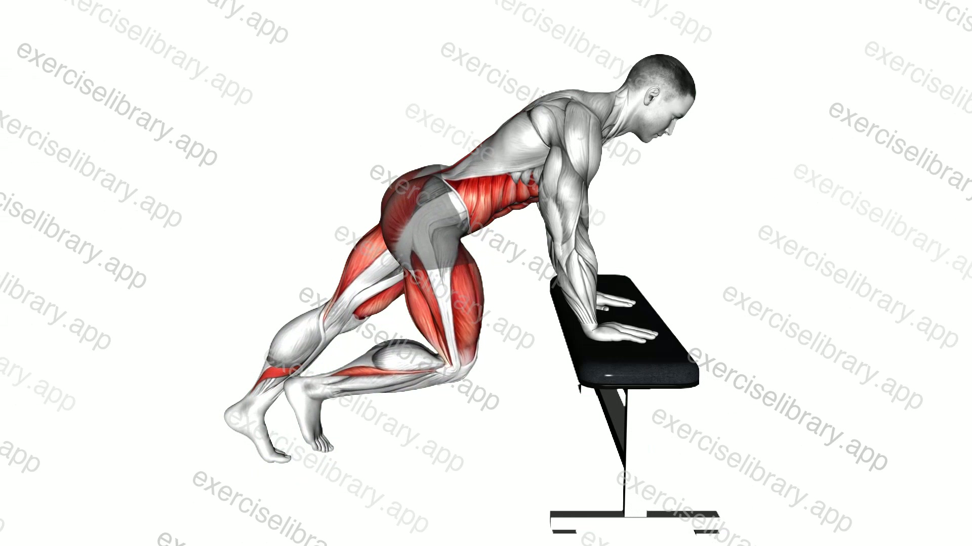 Elevated Mountain Climber with Hands on a Bench demonstration