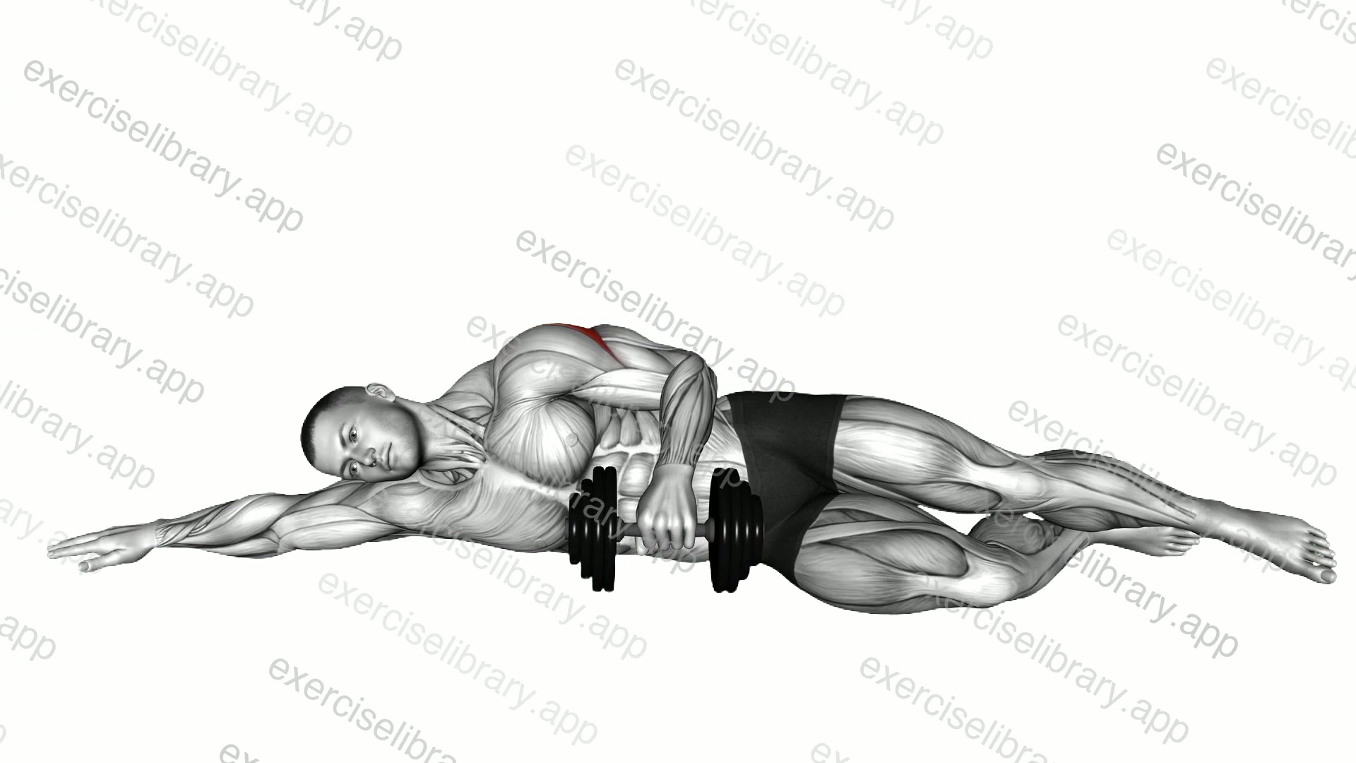 Dumbbell Lying External Shoulder Rotation demonstration