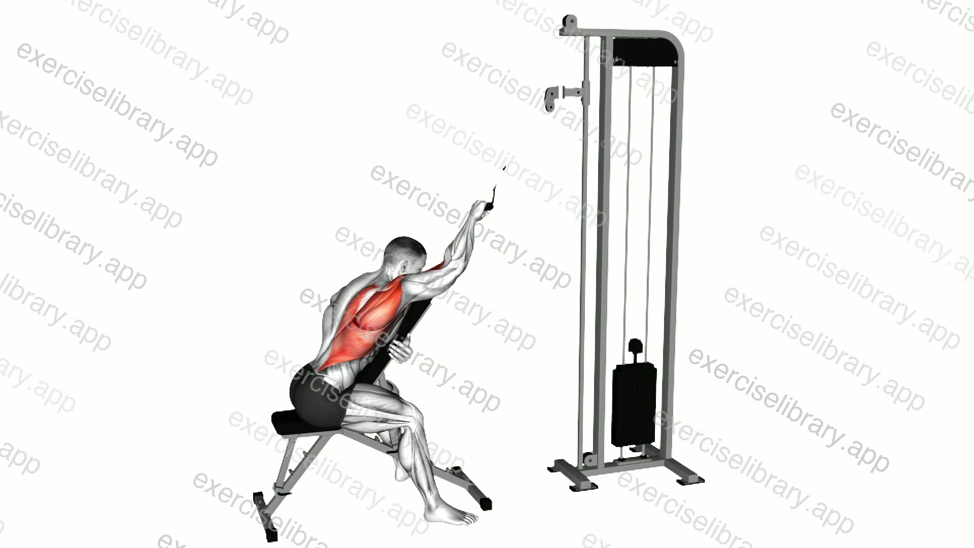 Cable Incline Single Arm Lat Pulldown demonstration