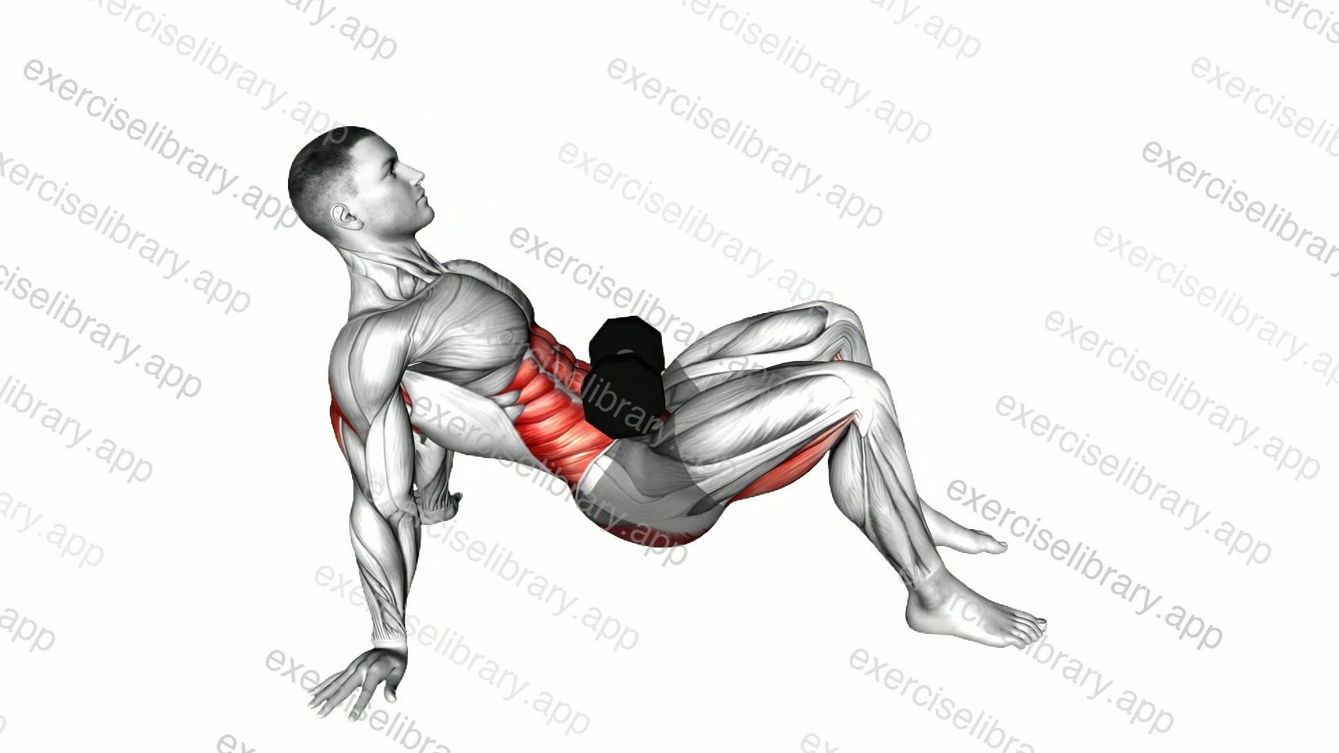 Weighted Dumbbell Table Top Bridge demonstration