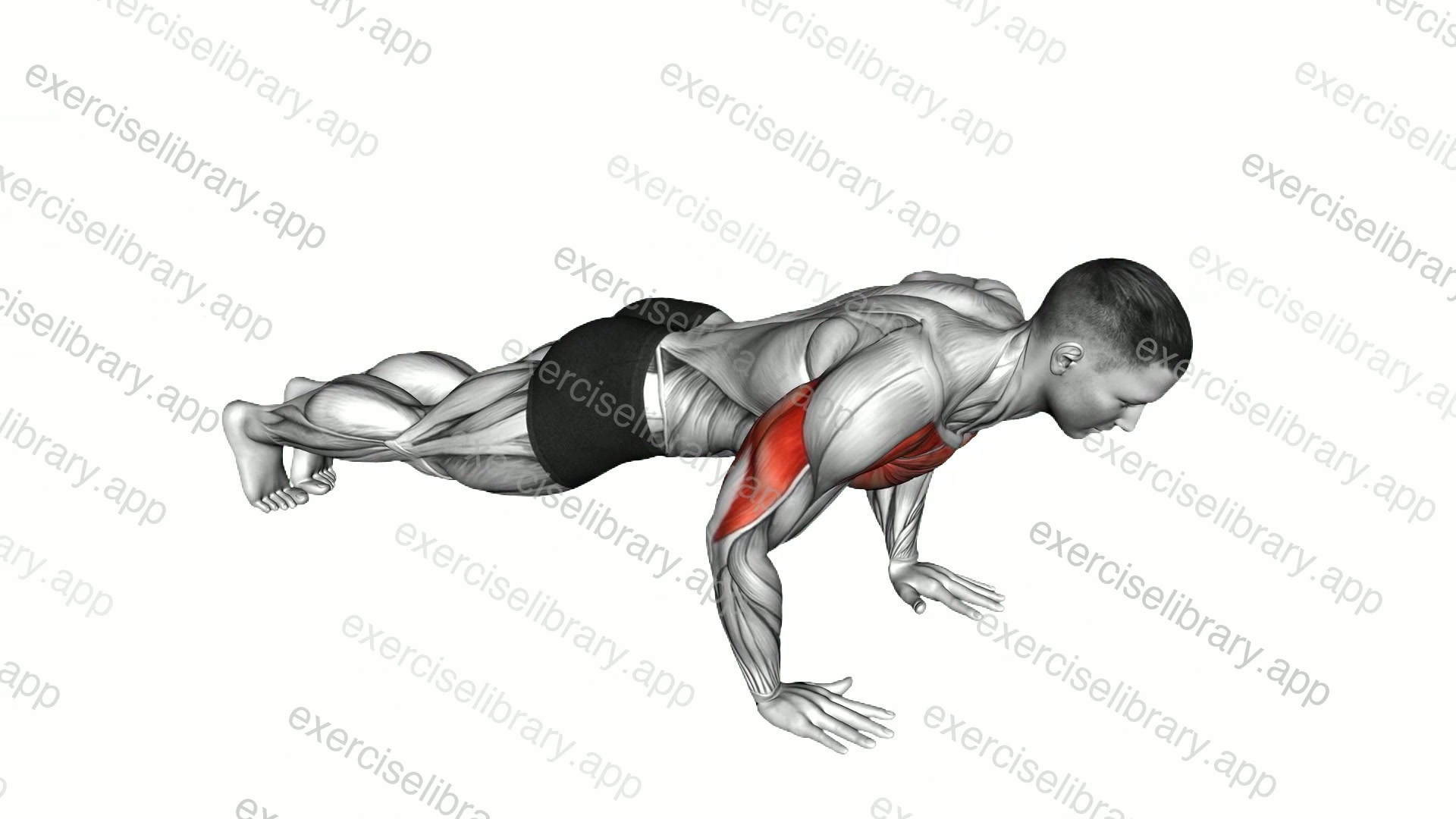 Deep Push-up Hold demonstration