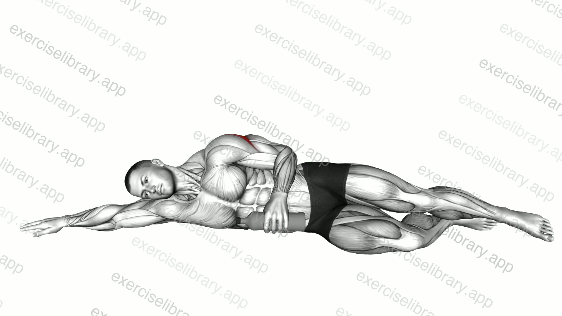 Weighted Bottle Side Lying Shoulder External Rotation demonstration