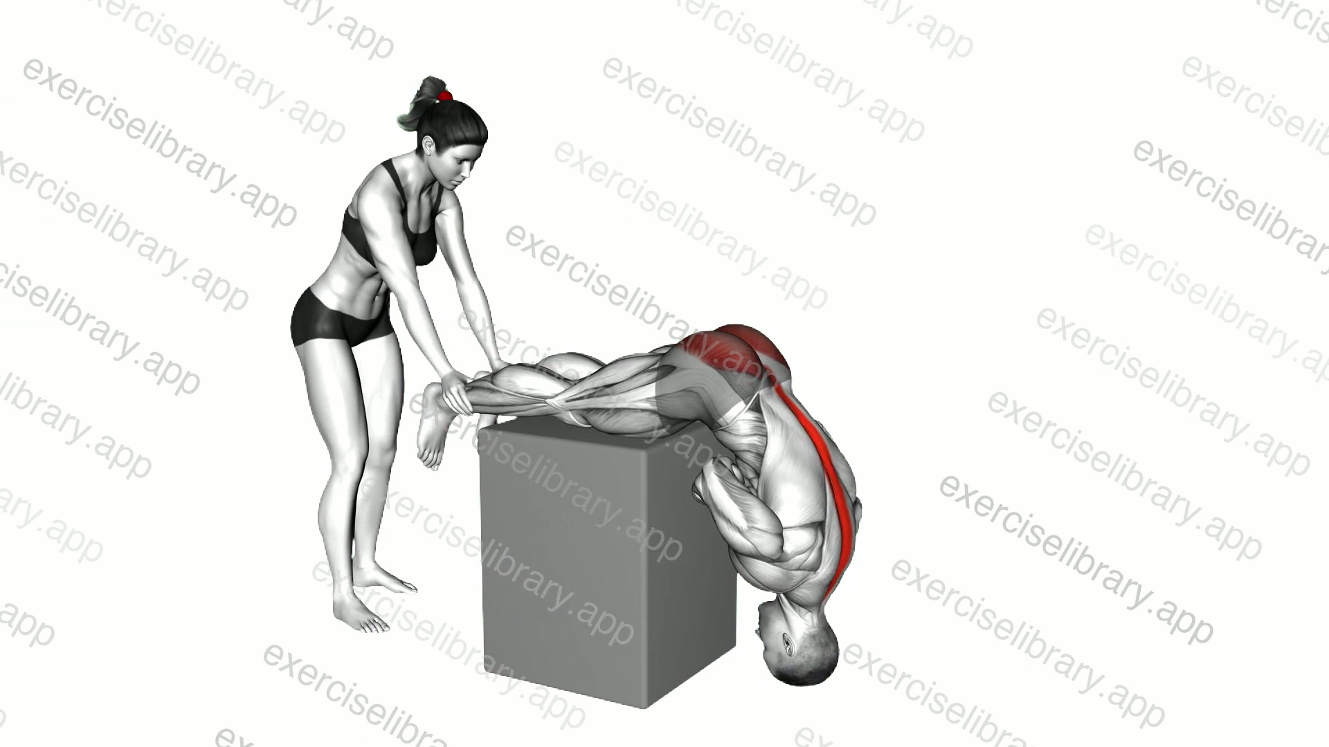 Assisted Hyperextension demonstration
