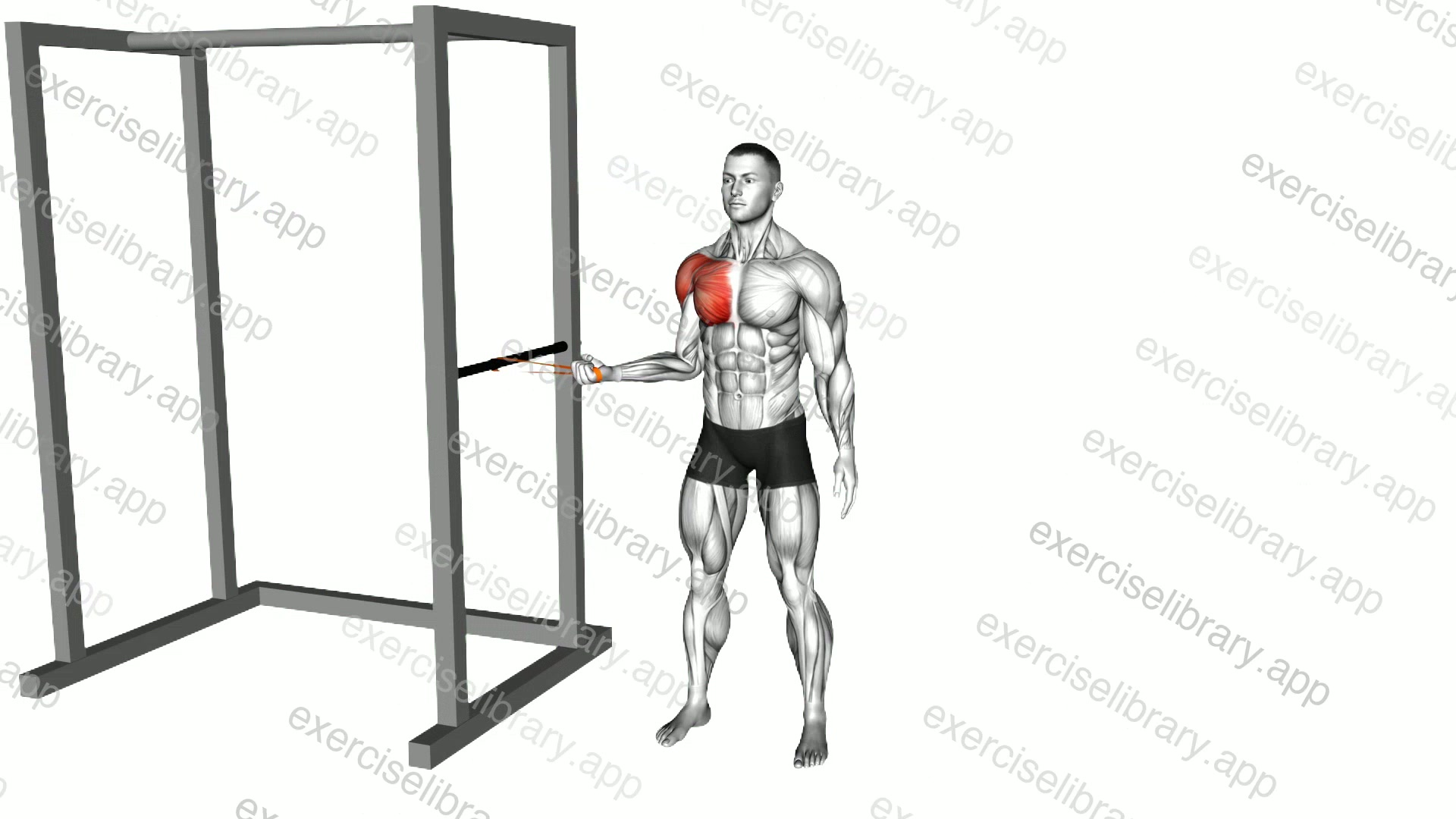 Resistance Band Standing Shoulder Internal Rotation demonstration