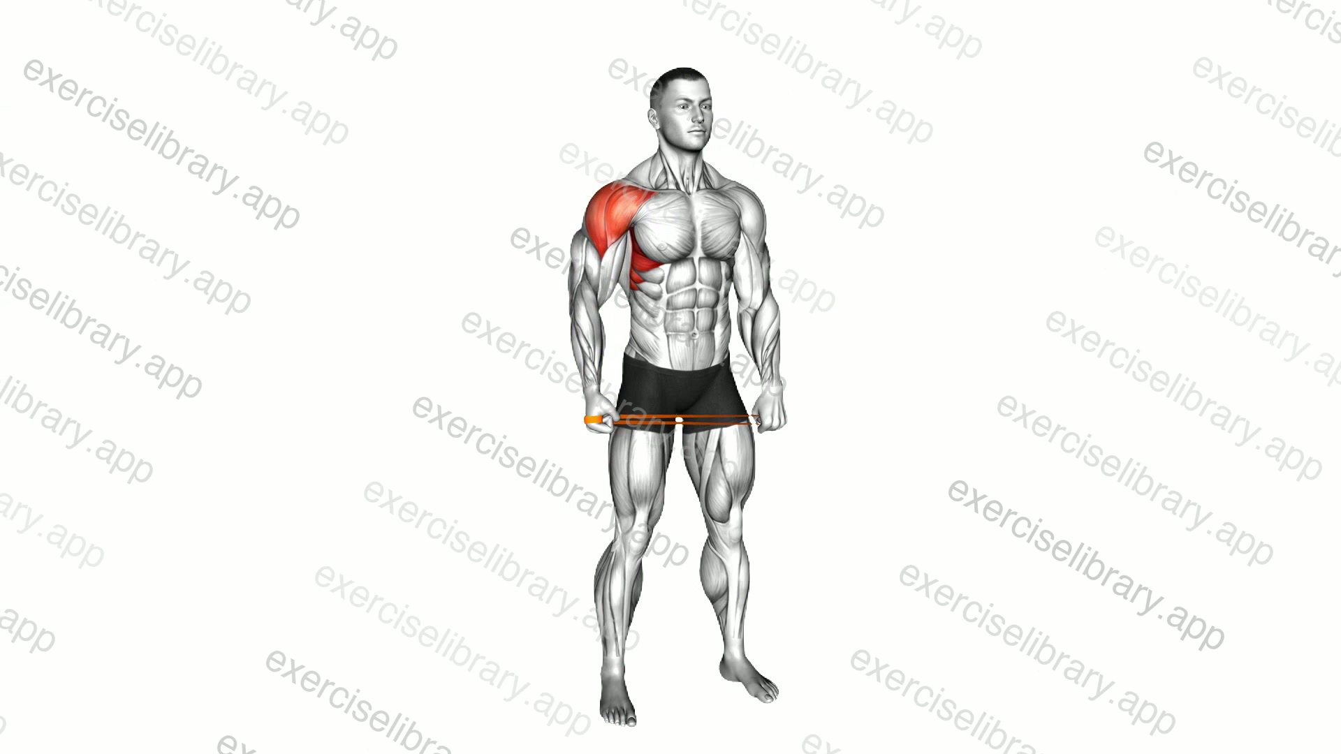 Resistance Band Standing Single Arm Lateral Raise demonstration