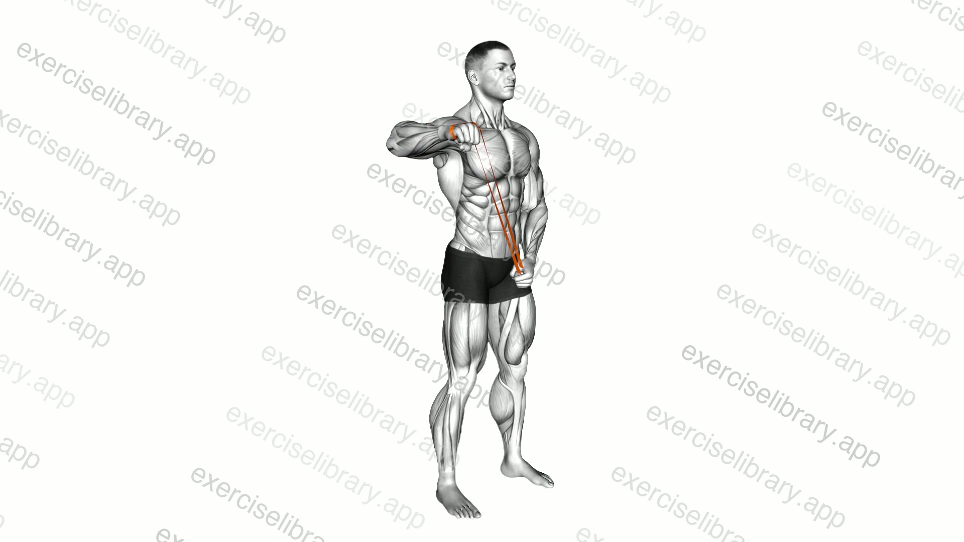 Resistance Band Standing 90 degrees Shoulder Extrernal Rotation demonstration