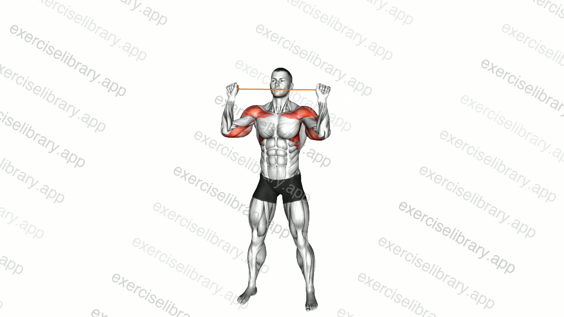 Resistance Band Overhead Shoulder Press demonstration