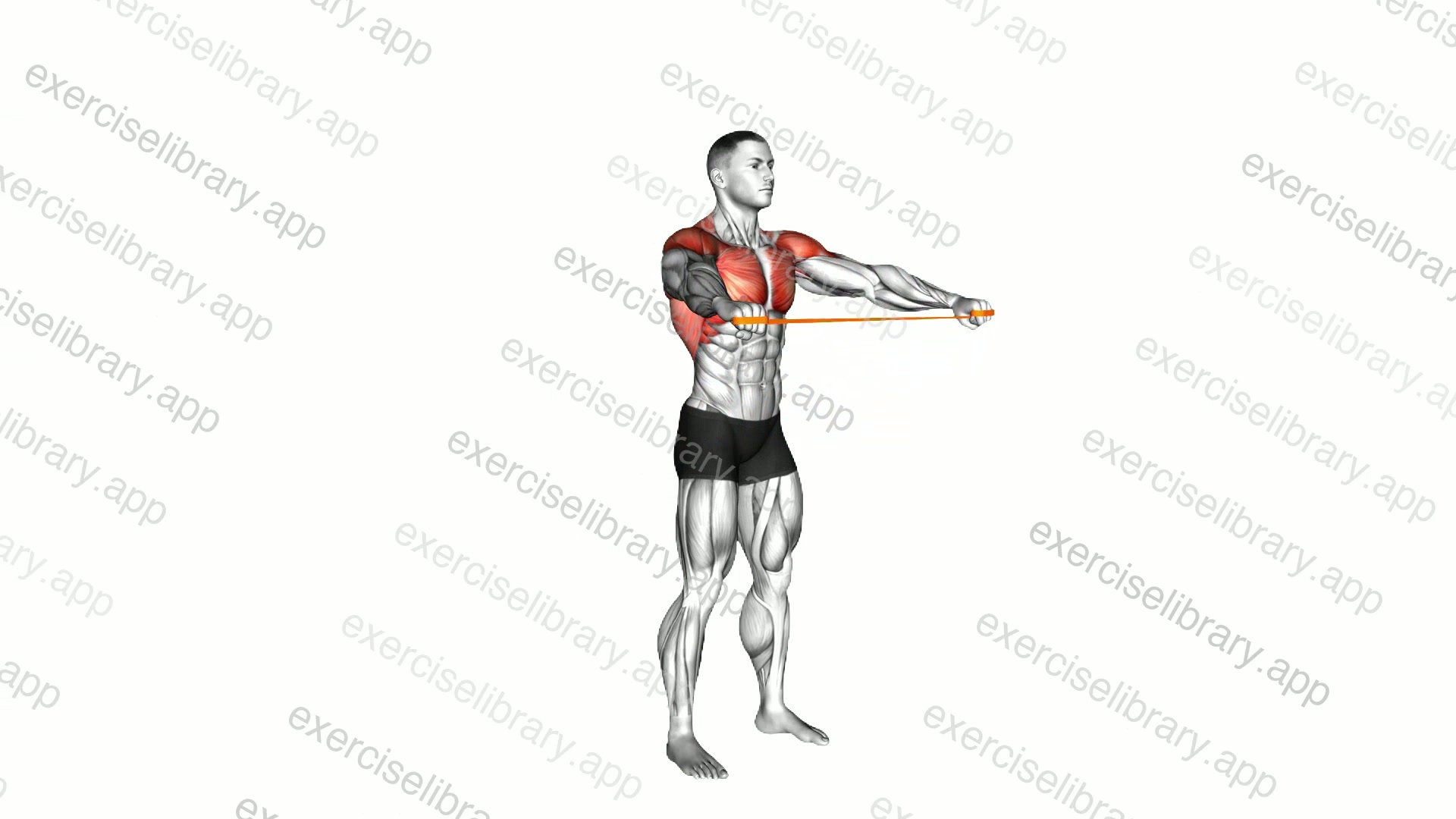 Resistance Band Pass Through demonstration