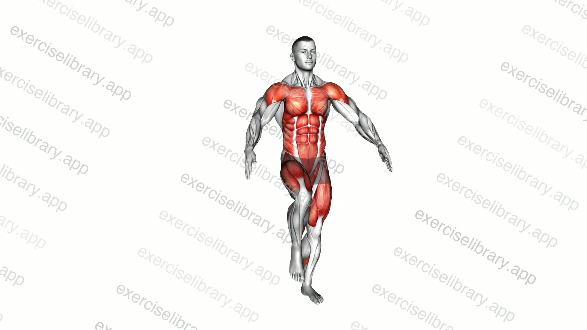 Front to Under Knee Clap demonstration