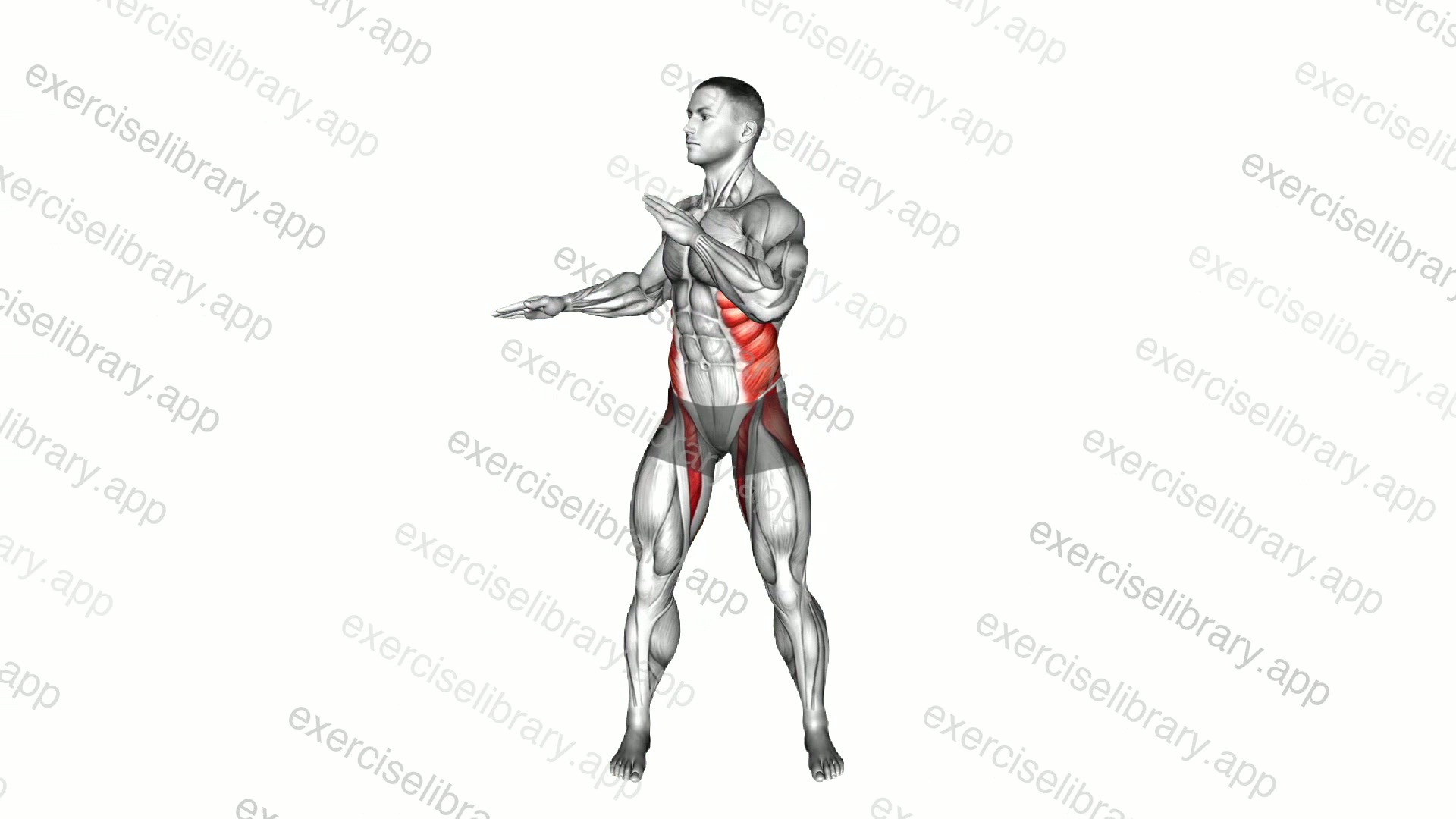 Rotation Back Swing demonstration