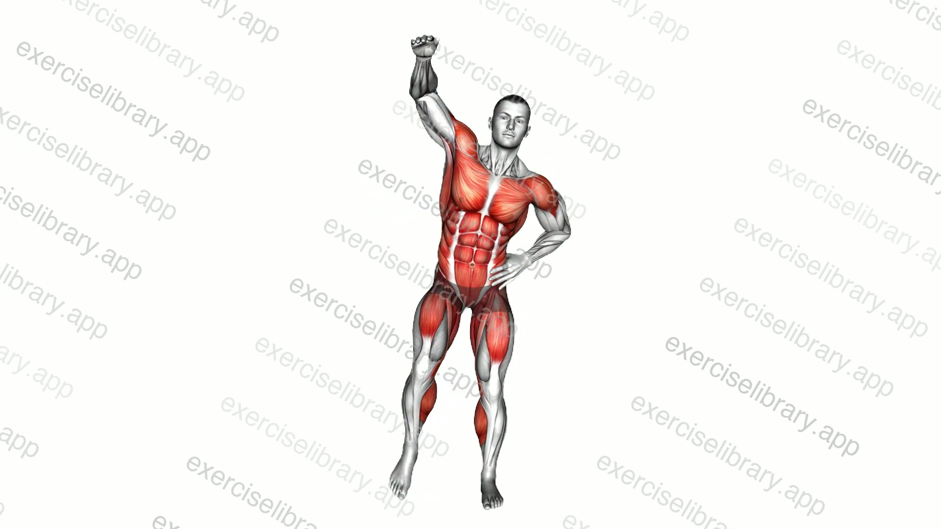 Side Step Overhead Swing Side Leg Raise demonstration