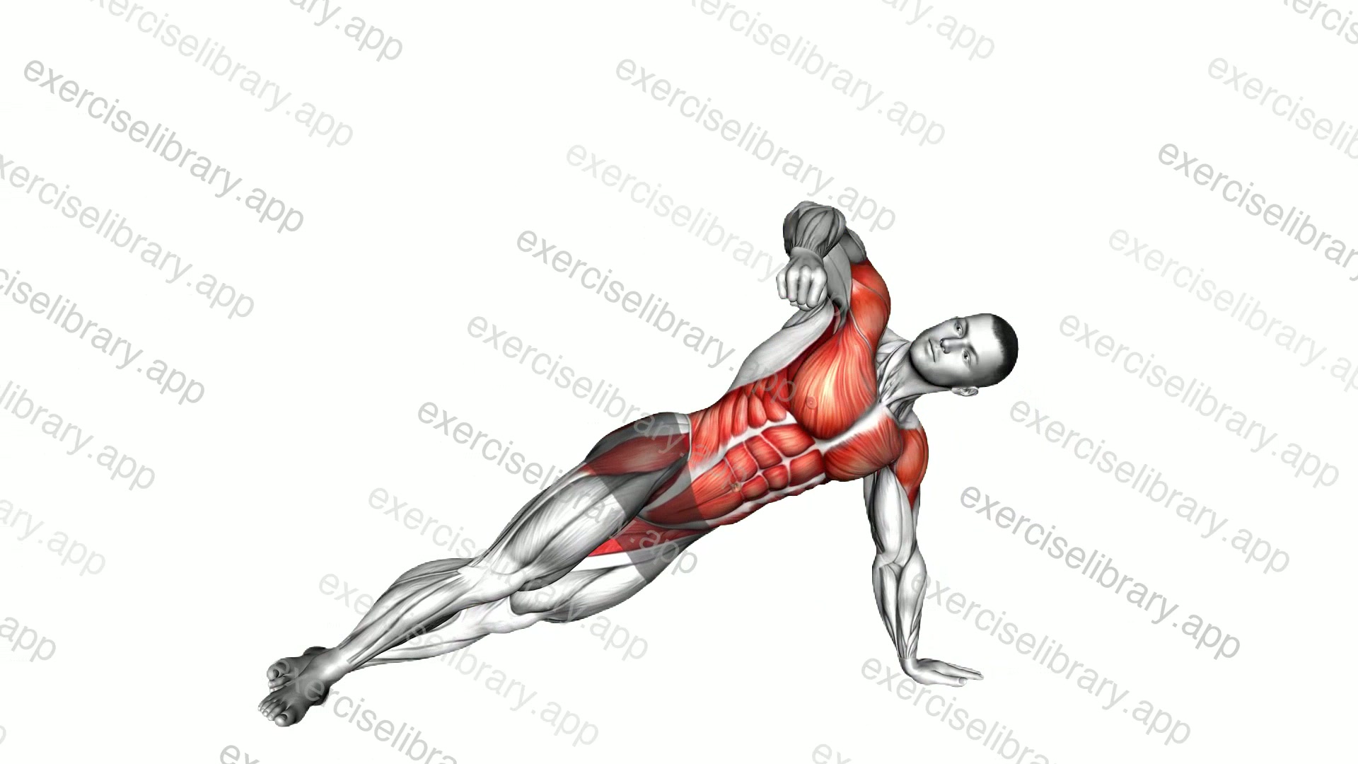 Side Floor Tap Plank demonstration