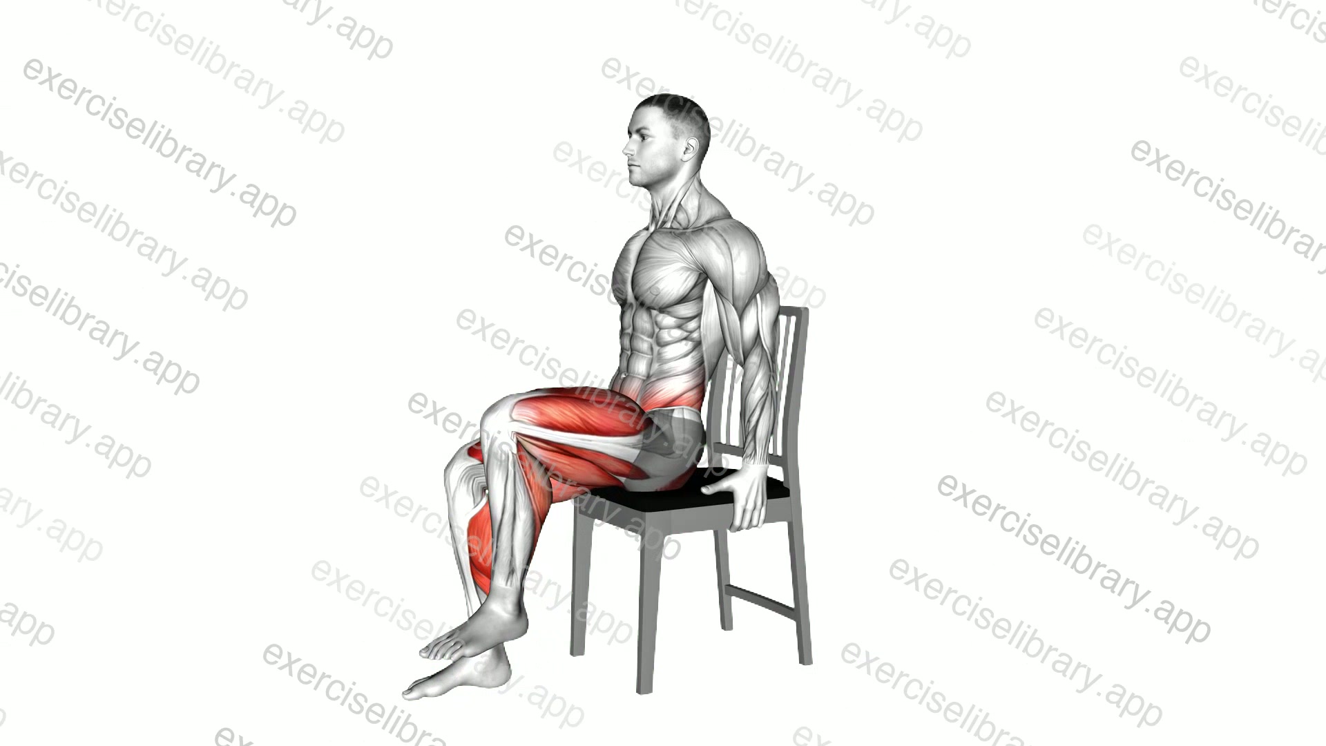 Seated Marching on a Chair demonstration