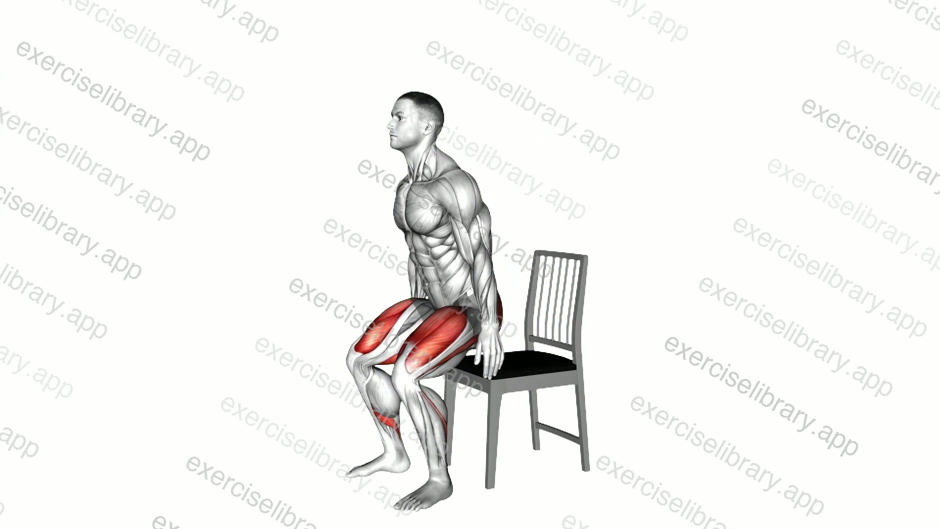 Sit to Stand on a Chair demonstration