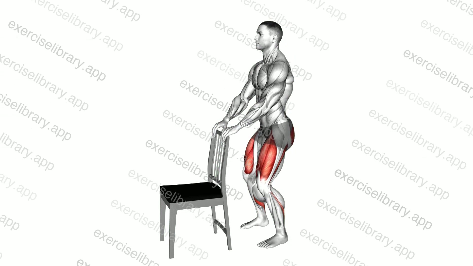 Mini Squat with a Chair demonstration