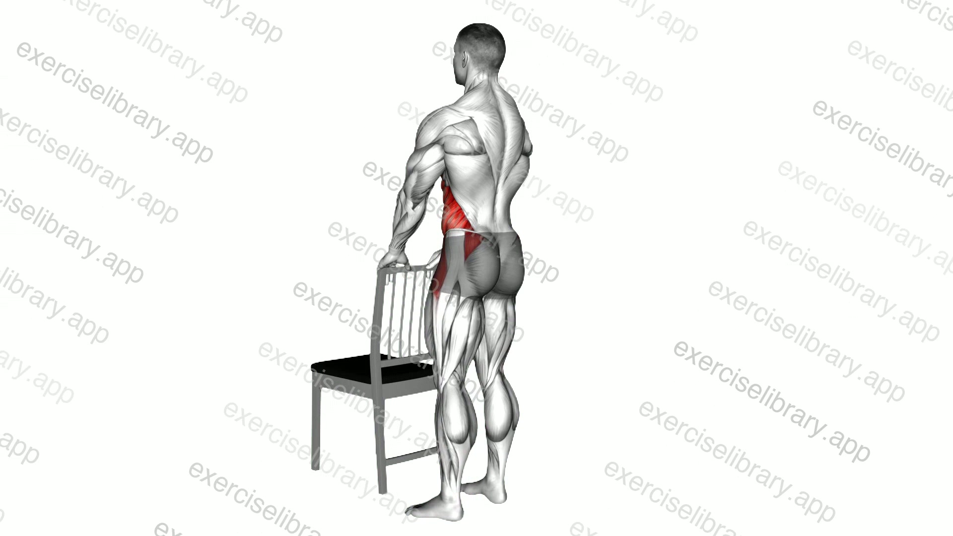 Sideway Leg Lift with a Chair demonstration