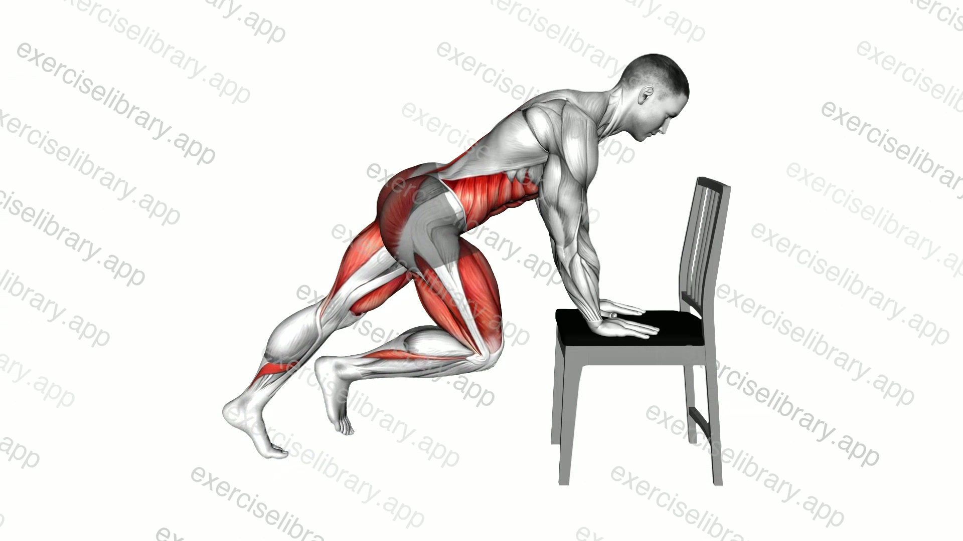 Elevated Mountain Climber with Hands on a Chair demonstration