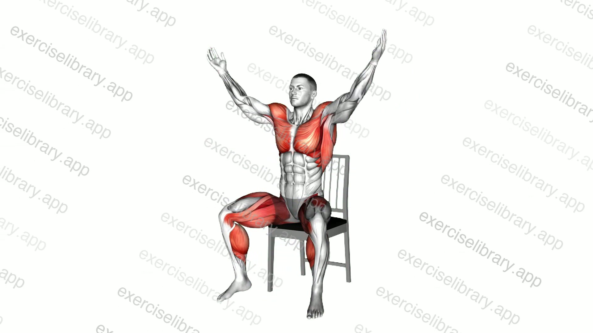 Seated Jack on a Chair demonstration