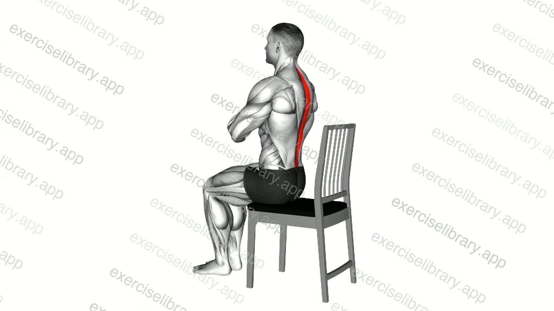 Seated Lean Back on a Chair demonstration