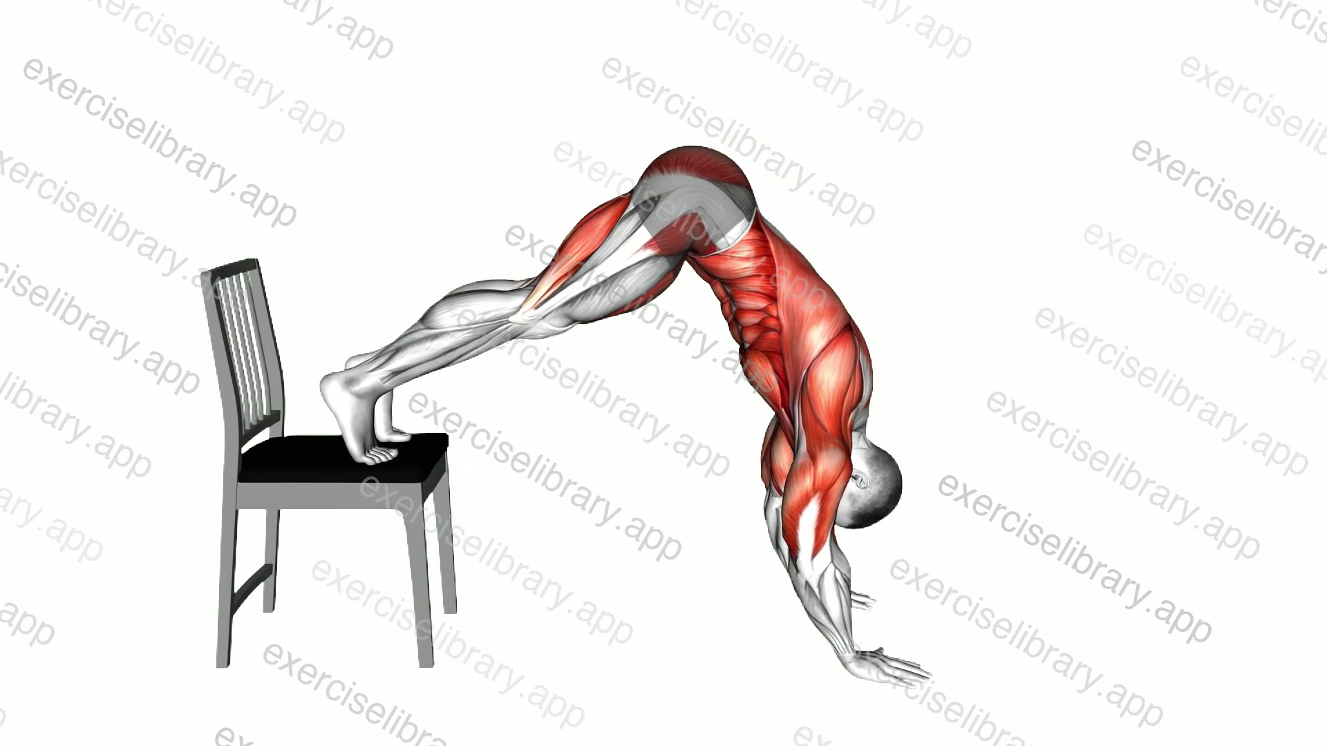 Elevated Plank Walkout with a Chair demonstration