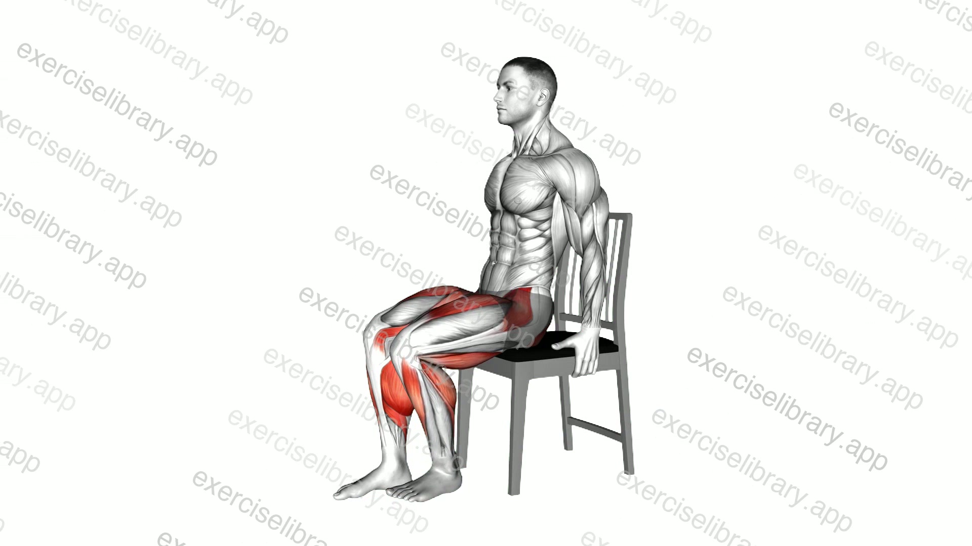 Seated Heel Slide on a Chair demonstration