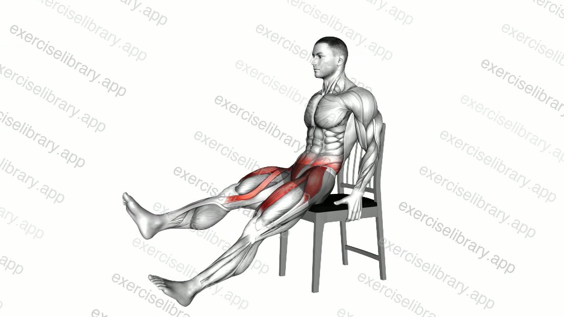 Seated Extended Leg Raise on a Chair demonstration