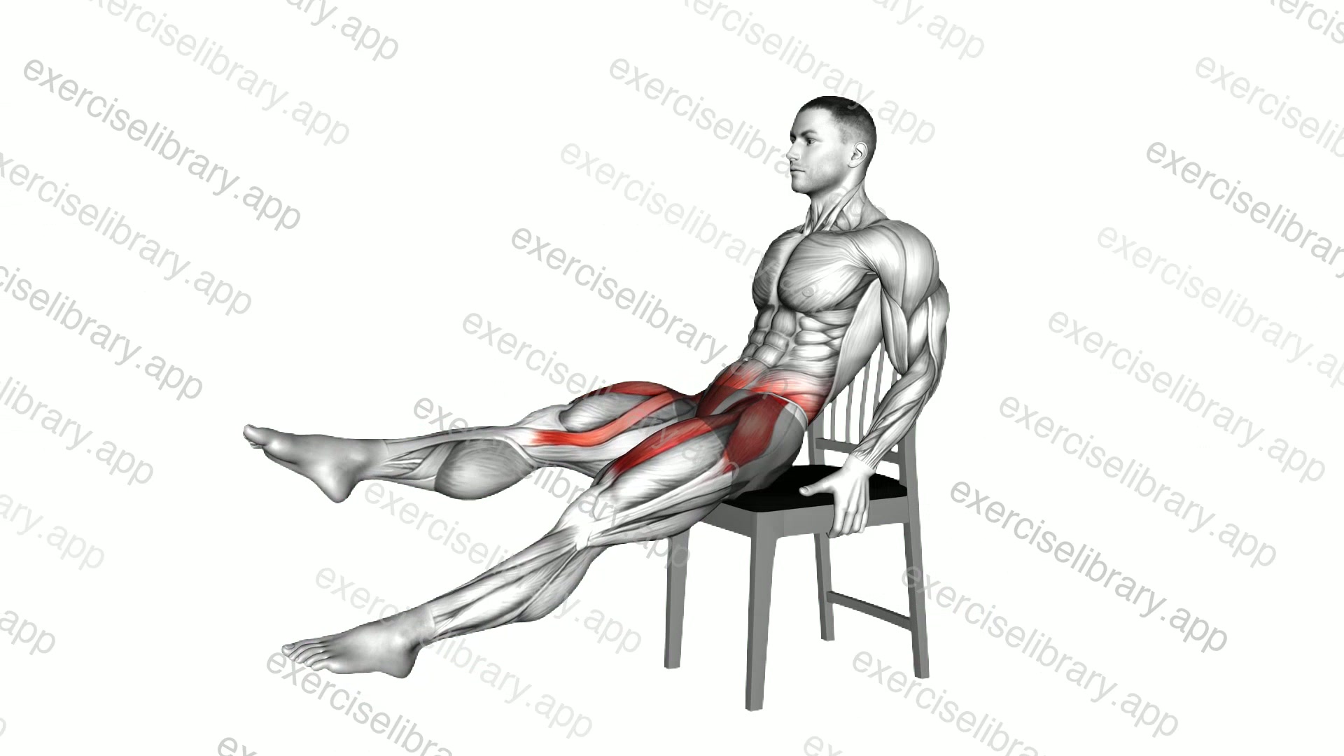 Seated Leg Kick on a Chair demonstration