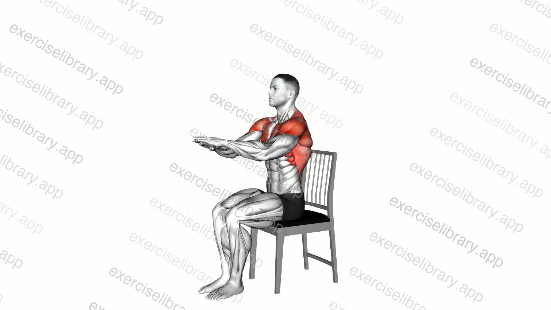 Seated Overhead Stretch on a Chair demonstration