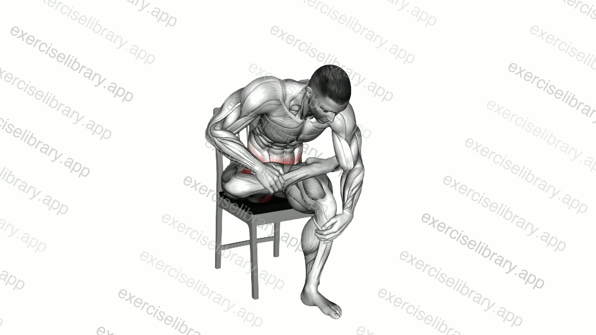 Seated Piriformis Stretch on a Chair demonstration
