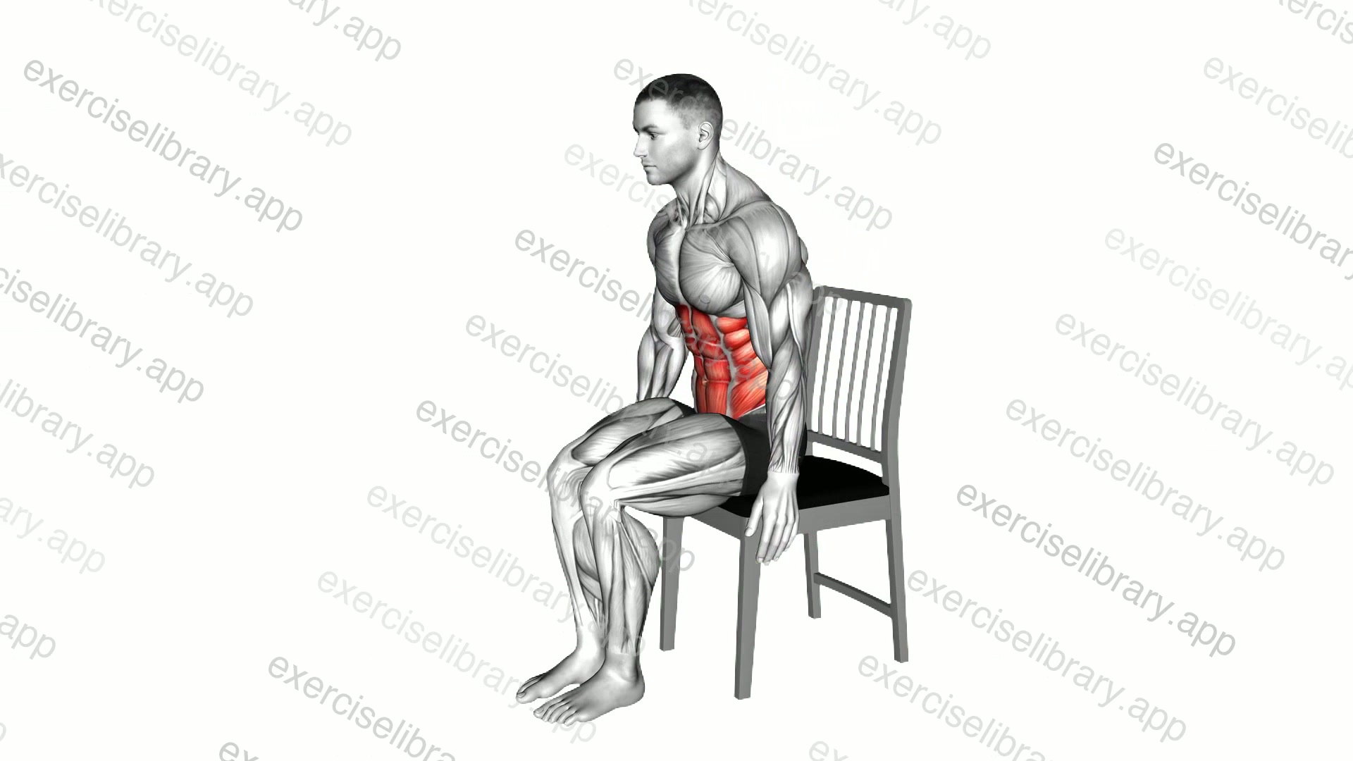 Seated Forward Bend Stretch on a Chair demonstration