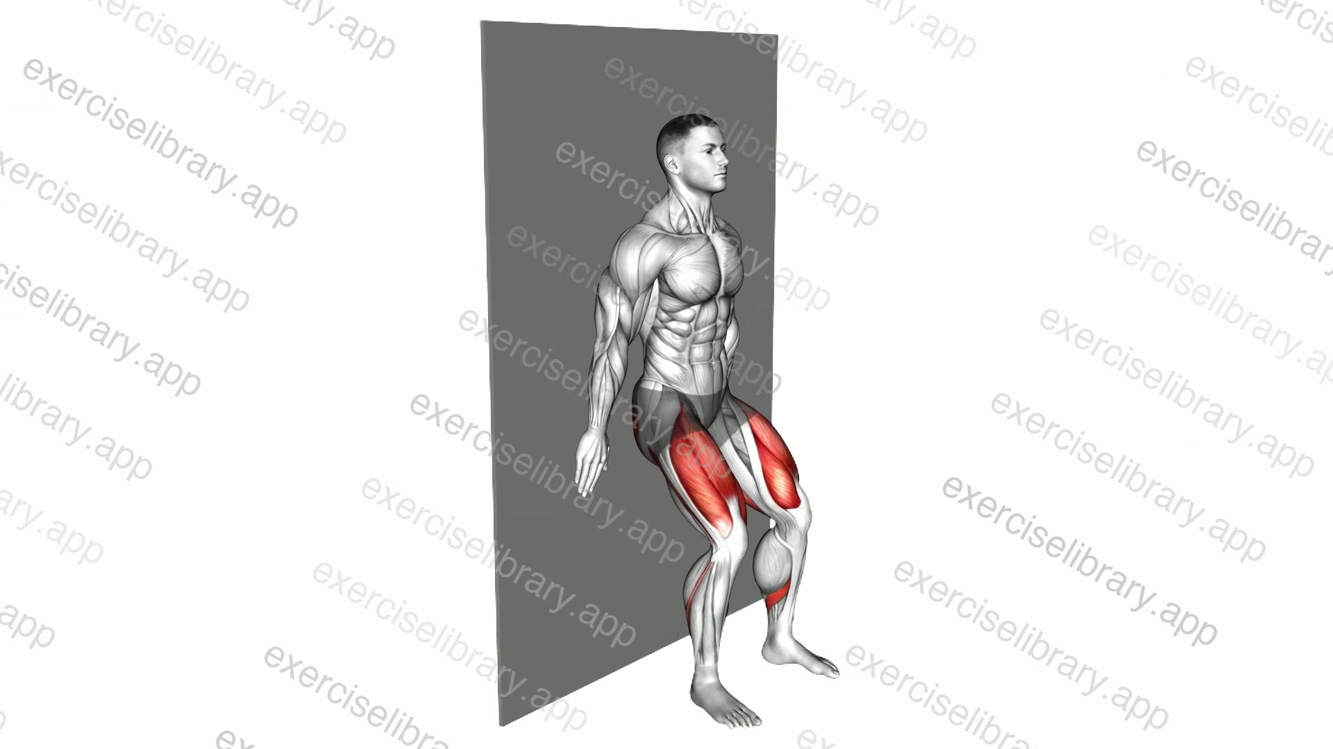 Standing Wall Slide Squat demonstration