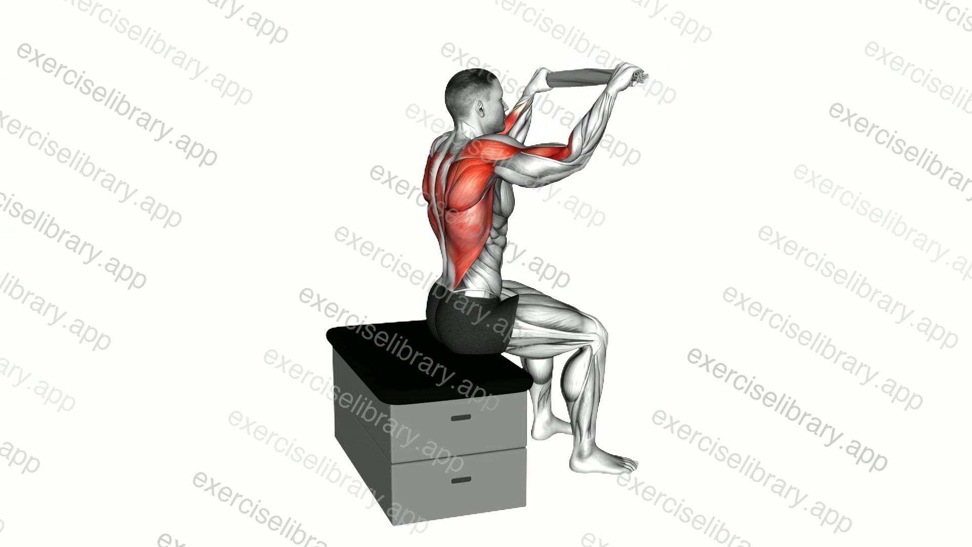 Seated High Row with a Towel on a Padded Stool demonstration