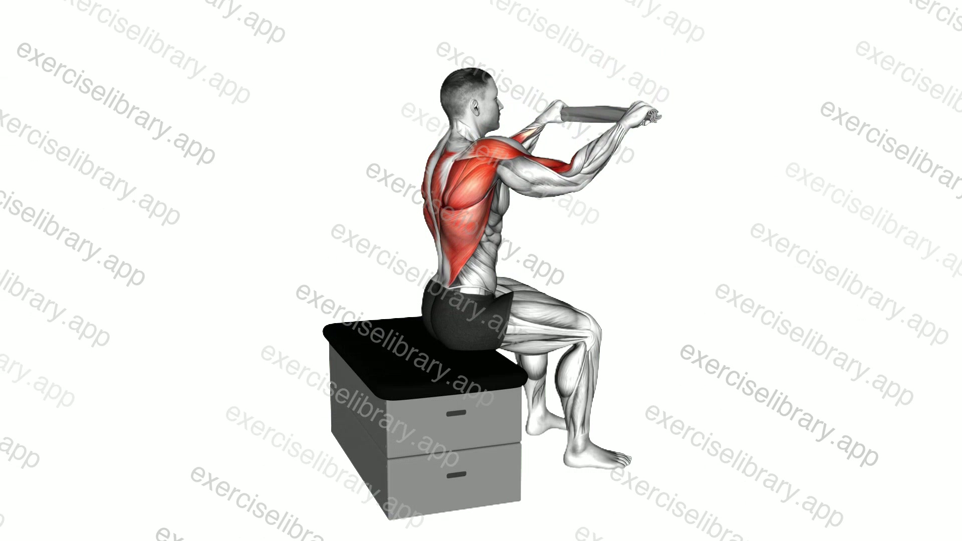 Seated Boat Row with a Towel on a Padded Stool demonstration